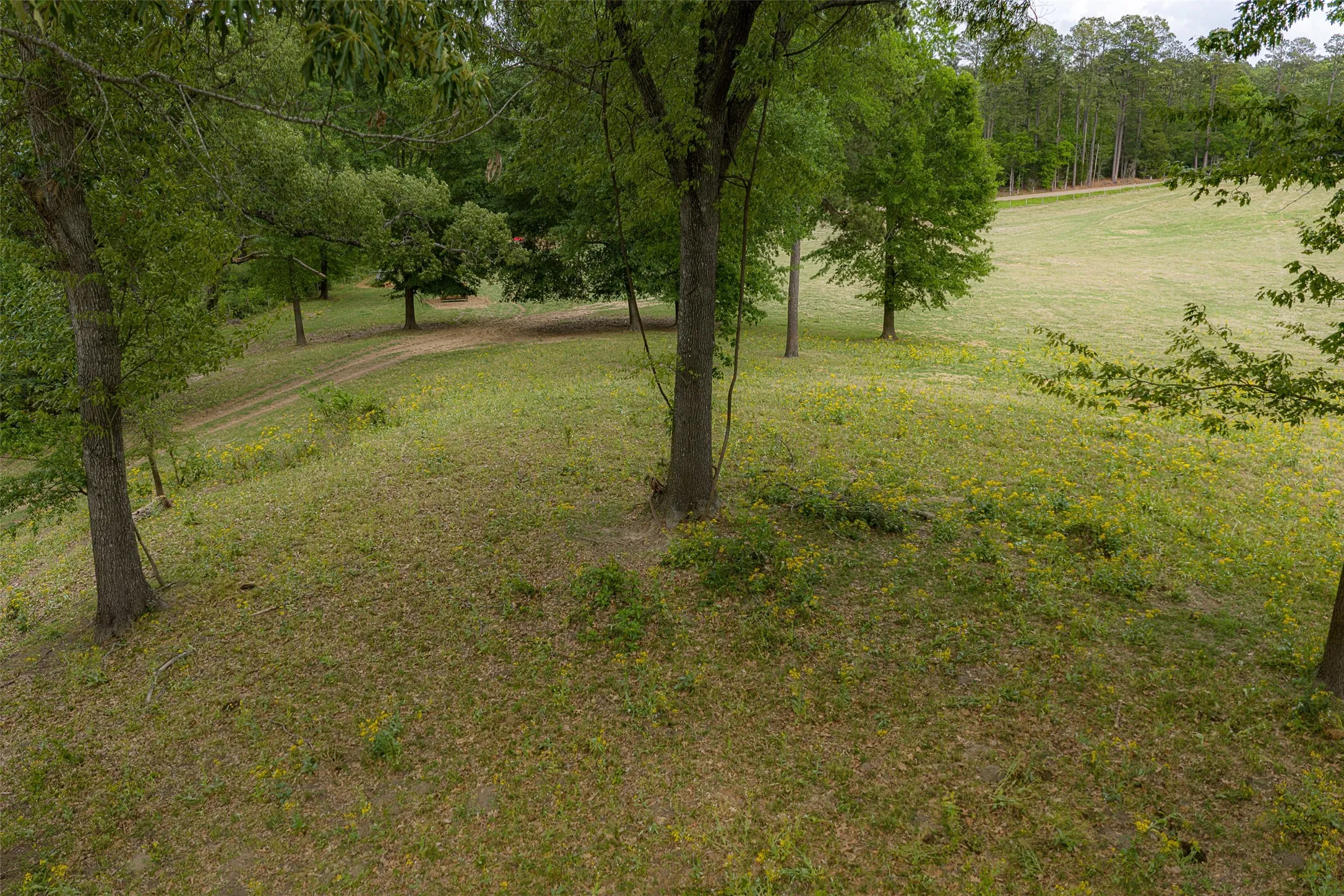 Improved Land For Sale in Cherokee County , 0 CR 1615, Jacksonville, Texas 75766, 0, 0, Garage spaces, 0 Sqft, built in 0, Price $649,900, mls#21236518, Real Estate Agent in Jacksonville, Homes For Sale in Cherokee county, Homes For Sale in Jacksonville, Realtor in Jacksonville Texas, Real Estate Brokerage Independent Realty Texas, Luminita Cordes Realtor