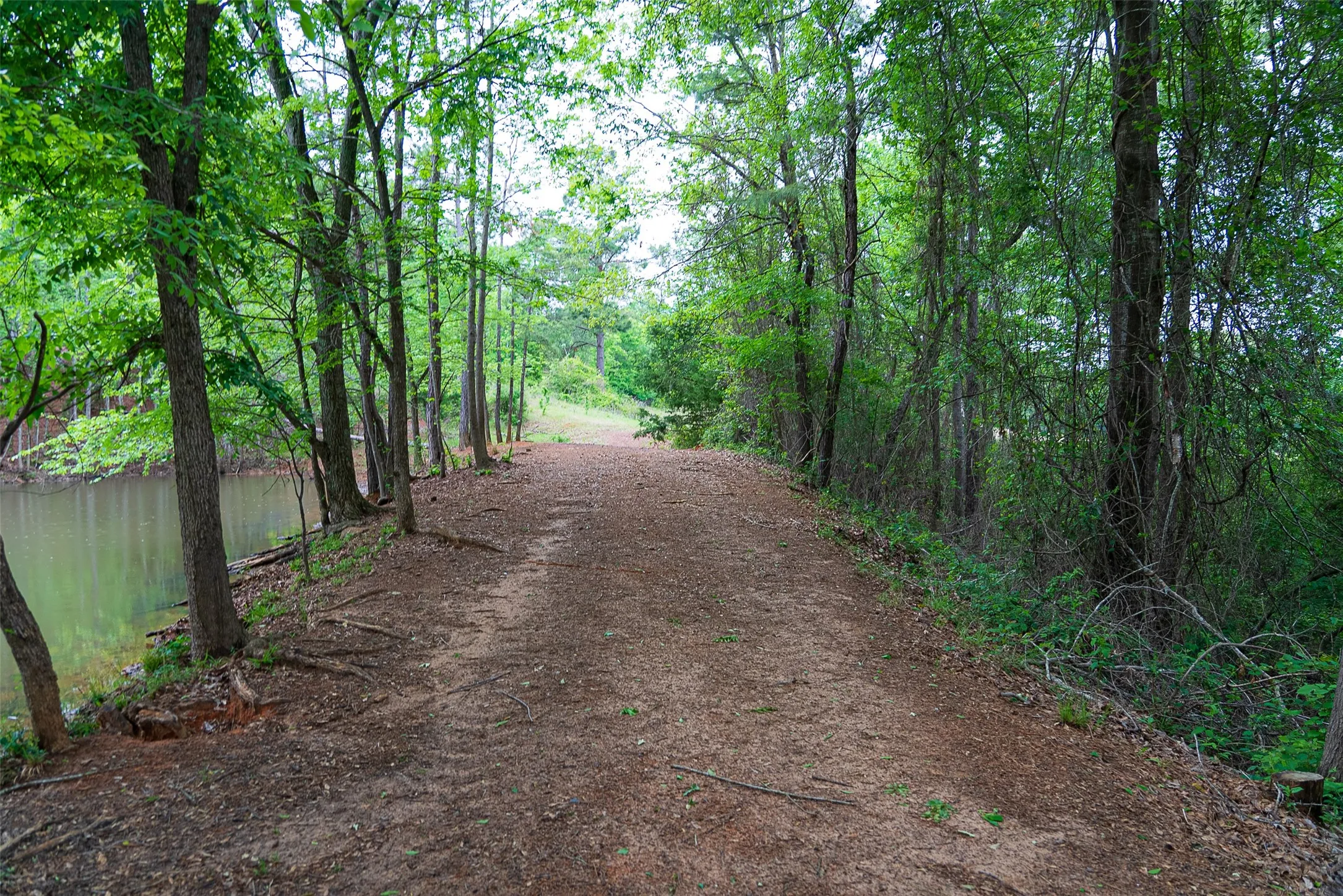 Improved Land For Sale in Cherokee County , 0 CR 1615, Jacksonville, Texas 75766, 0, 0, Garage spaces, 0 Sqft, built in 0, Price $649,900, mls#21236518, Real Estate Agent in Jacksonville, Homes For Sale in Cherokee county, Homes For Sale in Jacksonville, Realtor in Jacksonville Texas, Real Estate Brokerage Independent Realty Texas, Luminita Cordes Realtor