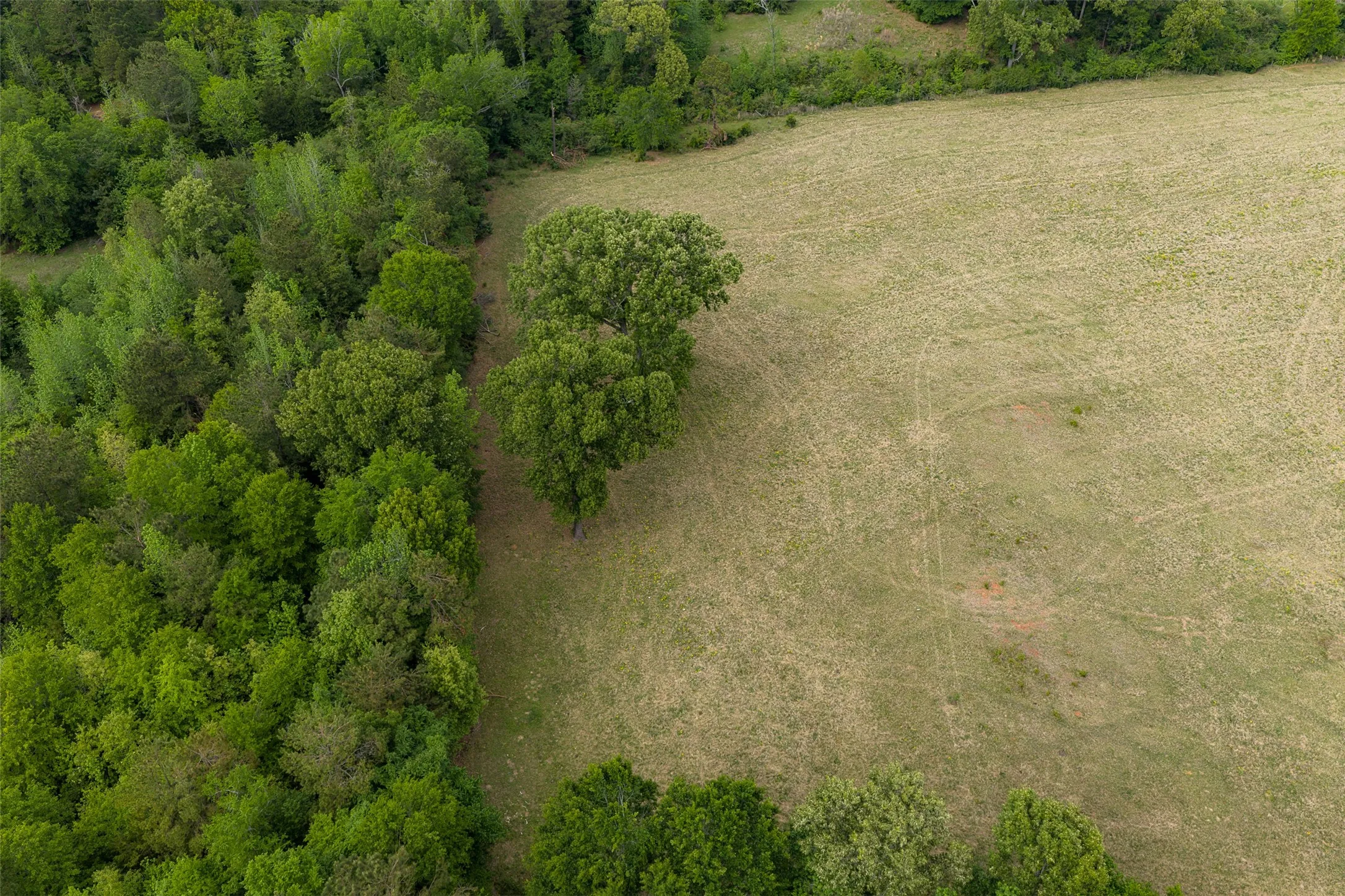 Improved Land For Sale in Cherokee County , 0 CR 1615, Jacksonville, Texas 75766, 0, 0, Garage spaces, 0 Sqft, built in 0, Price $649,900, mls#21236518, Real Estate Agent in Jacksonville, Homes For Sale in Cherokee county, Homes For Sale in Jacksonville, Realtor in Jacksonville Texas, Real Estate Brokerage Independent Realty Texas, Luminita Cordes Realtor