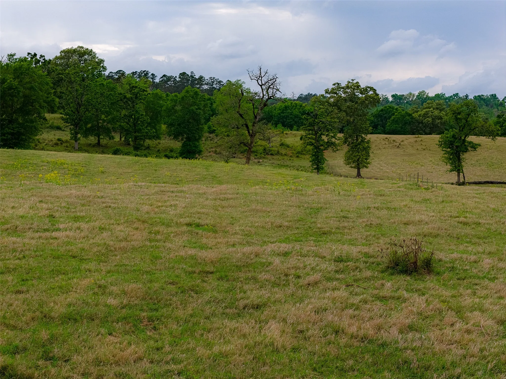 Improved Land For Sale in Cherokee County , 0 CR 1615, Jacksonville, Texas 75766, 0, 0, Garage spaces, 0 Sqft, built in 0, Price $649,900, mls#21236518, Real Estate Agent in Jacksonville, Homes For Sale in Cherokee county, Homes For Sale in Jacksonville, Realtor in Jacksonville Texas, Real Estate Brokerage Independent Realty Texas, Luminita Cordes Realtor
