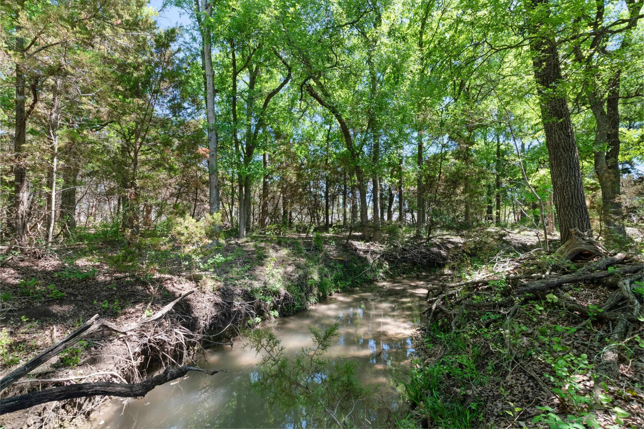 Ranch For Sale in Coryell County , TBD US HWY 36 Highway, Jonesboro, Texas 76538, 0, 0, Garage spaces, 0 Sqft, built in 0, Price $1,505,033, mls#21236551, Real Estate Agent in Jonesboro, Homes For Sale in Coryell county, Homes For Sale in Jonesboro, Realtor in Jonesboro Texas, Real Estate Brokerage Independent Realty Texas, Luminita Cordes Realtor