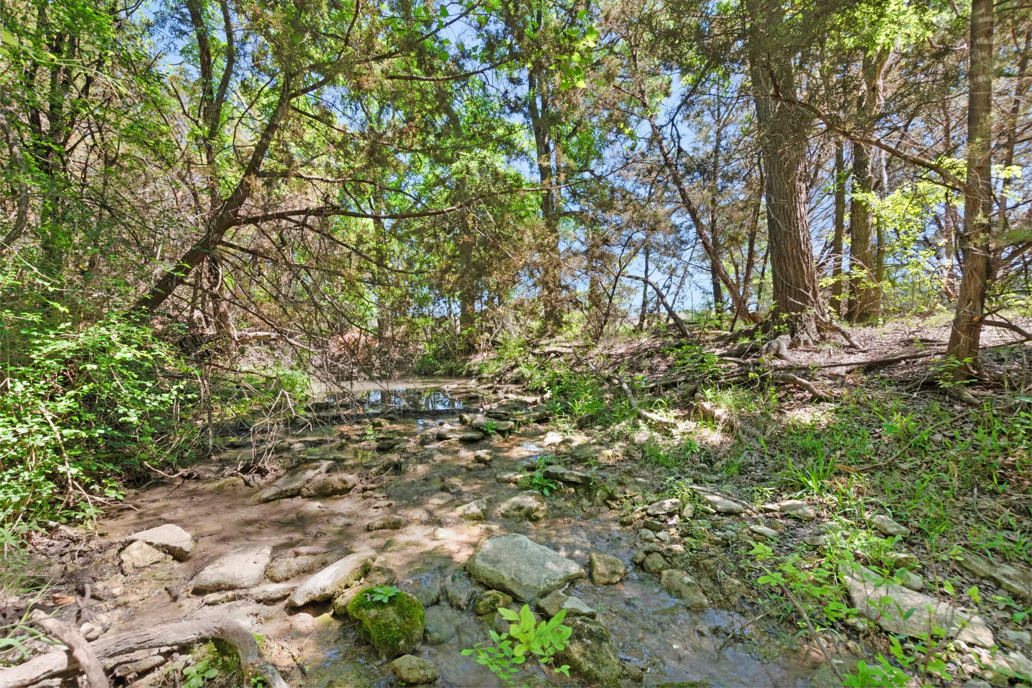 Ranch For Sale in Coryell County , TBD US HWY 36 Highway, Jonesboro, Texas 76538, 0, 0, Garage spaces, 0 Sqft, built in 0, Price $1,505,033, mls#21236551, Real Estate Agent in Jonesboro, Homes For Sale in Coryell county, Homes For Sale in Jonesboro, Realtor in Jonesboro Texas, Real Estate Brokerage Independent Realty Texas, Luminita Cordes Realtor