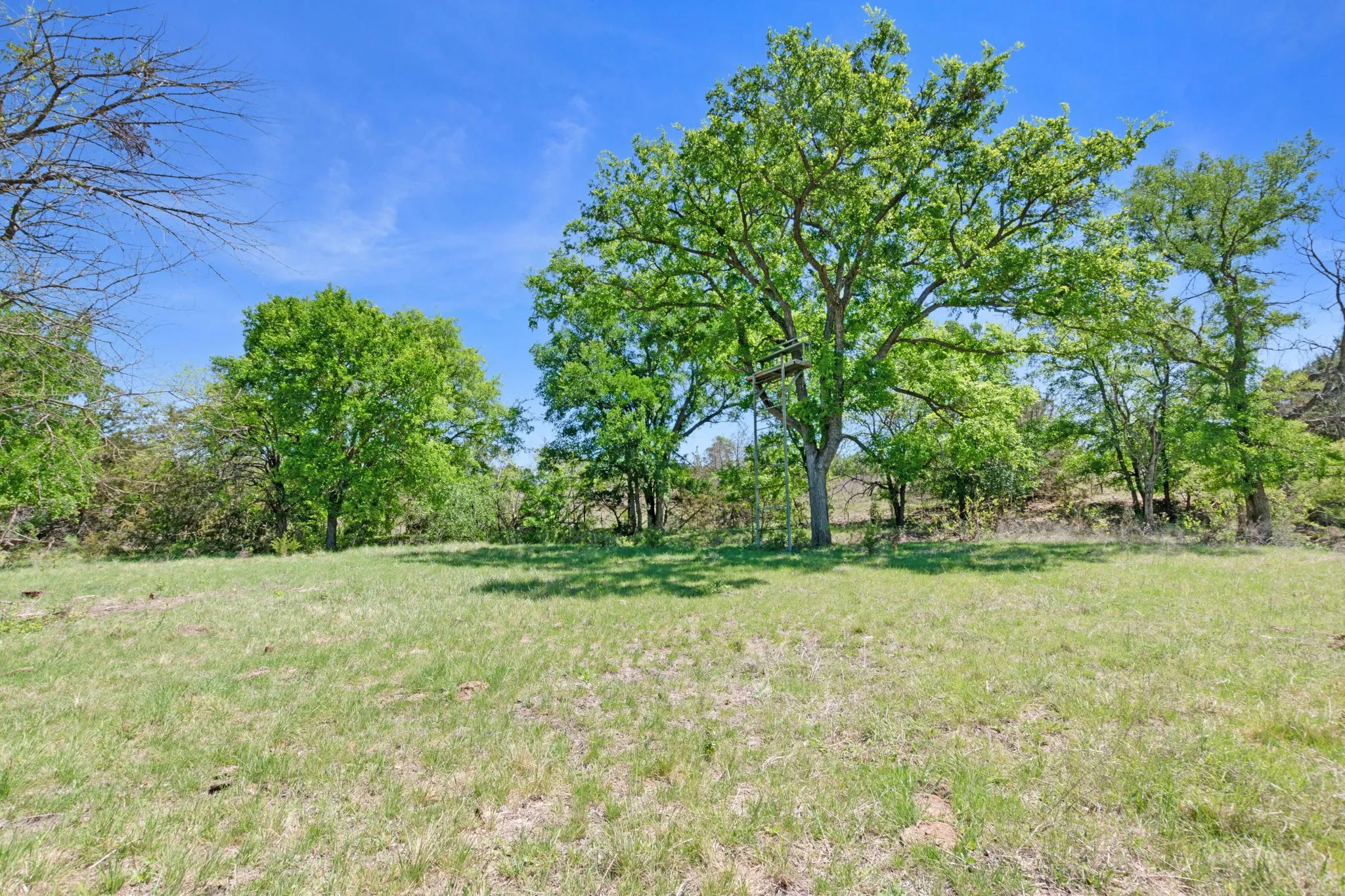 Ranch For Sale in Coryell County , TBD US HWY 36 Highway, Jonesboro, Texas 76538, 0, 0, Garage spaces, 0 Sqft, built in 0, Price $1,505,033, mls#21236551, Real Estate Agent in Jonesboro, Homes For Sale in Coryell county, Homes For Sale in Jonesboro, Realtor in Jonesboro Texas, Real Estate Brokerage Independent Realty Texas, Luminita Cordes Realtor