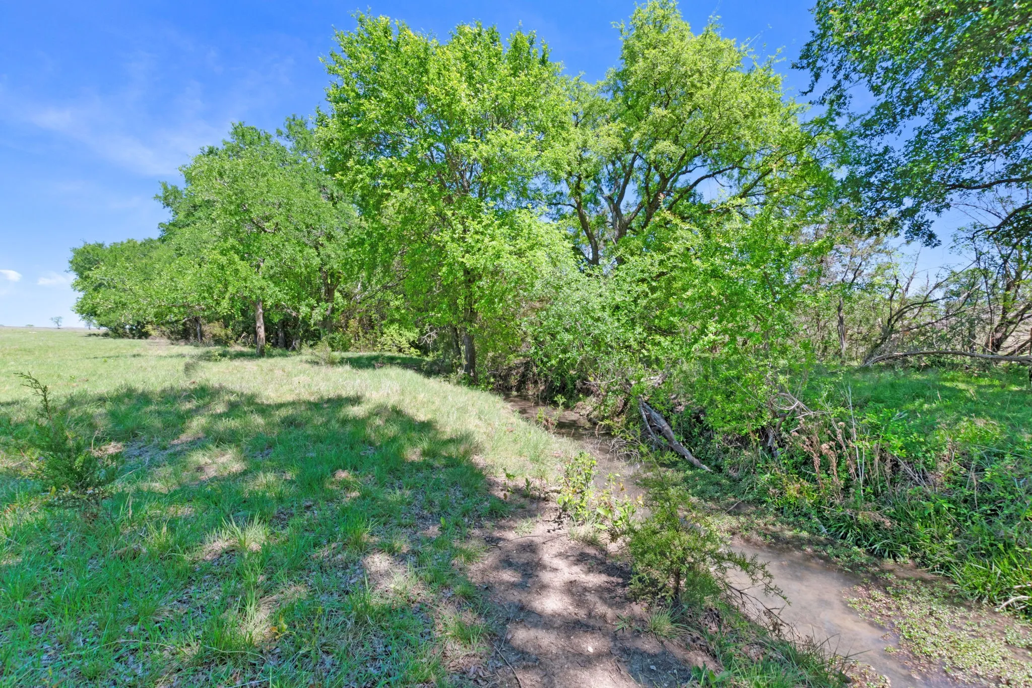 Ranch For Sale in Coryell County , TBD US HWY 36 Highway, Jonesboro, Texas 76538, 0, 0, Garage spaces, 0 Sqft, built in 0, Price $1,505,033, mls#21236551, Real Estate Agent in Jonesboro, Homes For Sale in Coryell county, Homes For Sale in Jonesboro, Realtor in Jonesboro Texas, Real Estate Brokerage Independent Realty Texas, Luminita Cordes Realtor