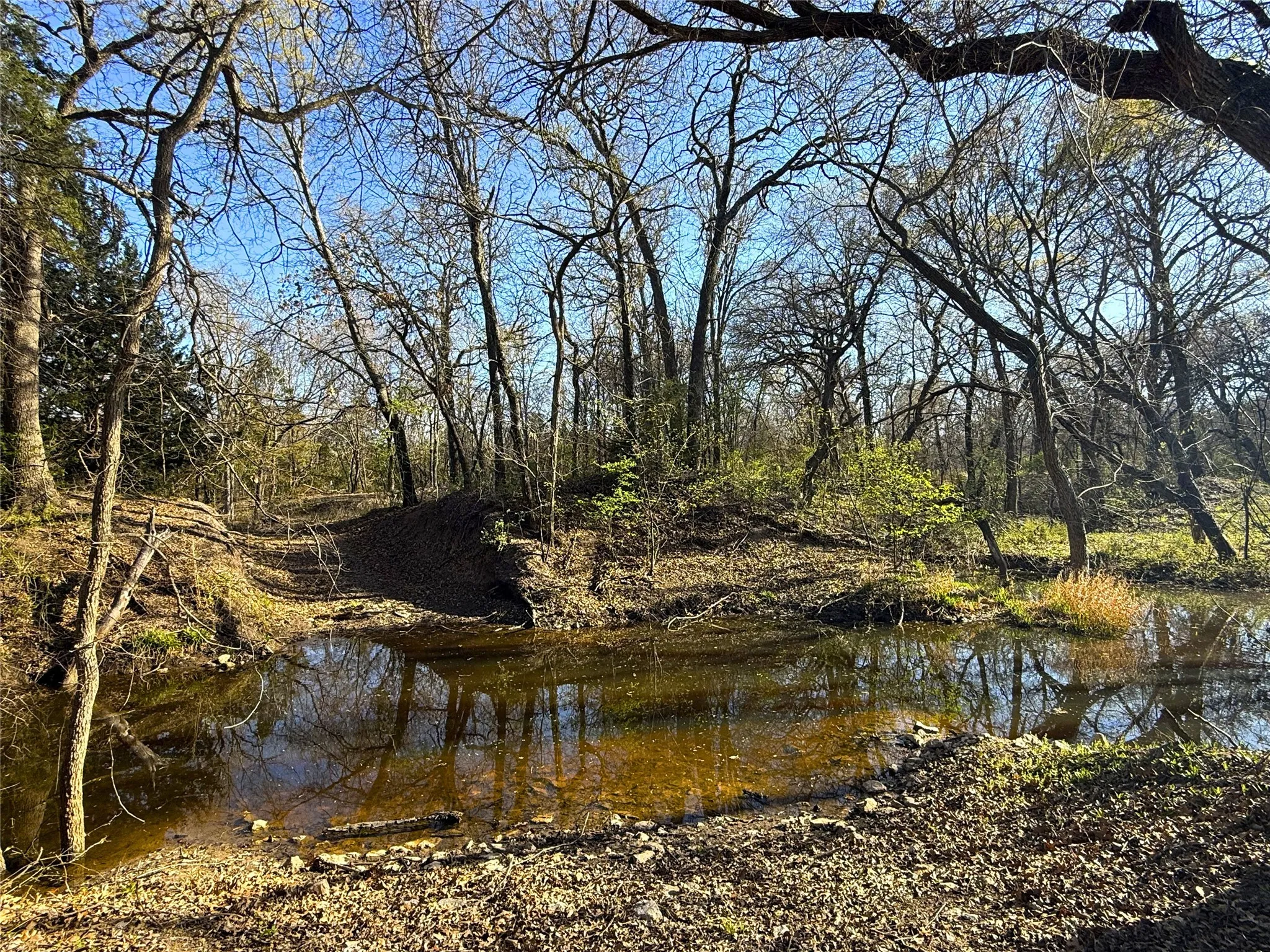 Farm For Sale in Parker County , 2196 Old Agnes Road, Weatherford, Texas 76088, 3 Bedrooms, 3 Bathrooms, Garage spaces, 2,700 Sqft, built in 1965, Preowned, Price $1,150,000, mls#21236553, Real Estate Agent in Weatherford, Homes For Sale in Parker county, Homes For Sale in Weatherford, Realtor in Weatherford Texas, Real Estate Brokerage Independent Realty Texas, Luminita Cordes Realtor