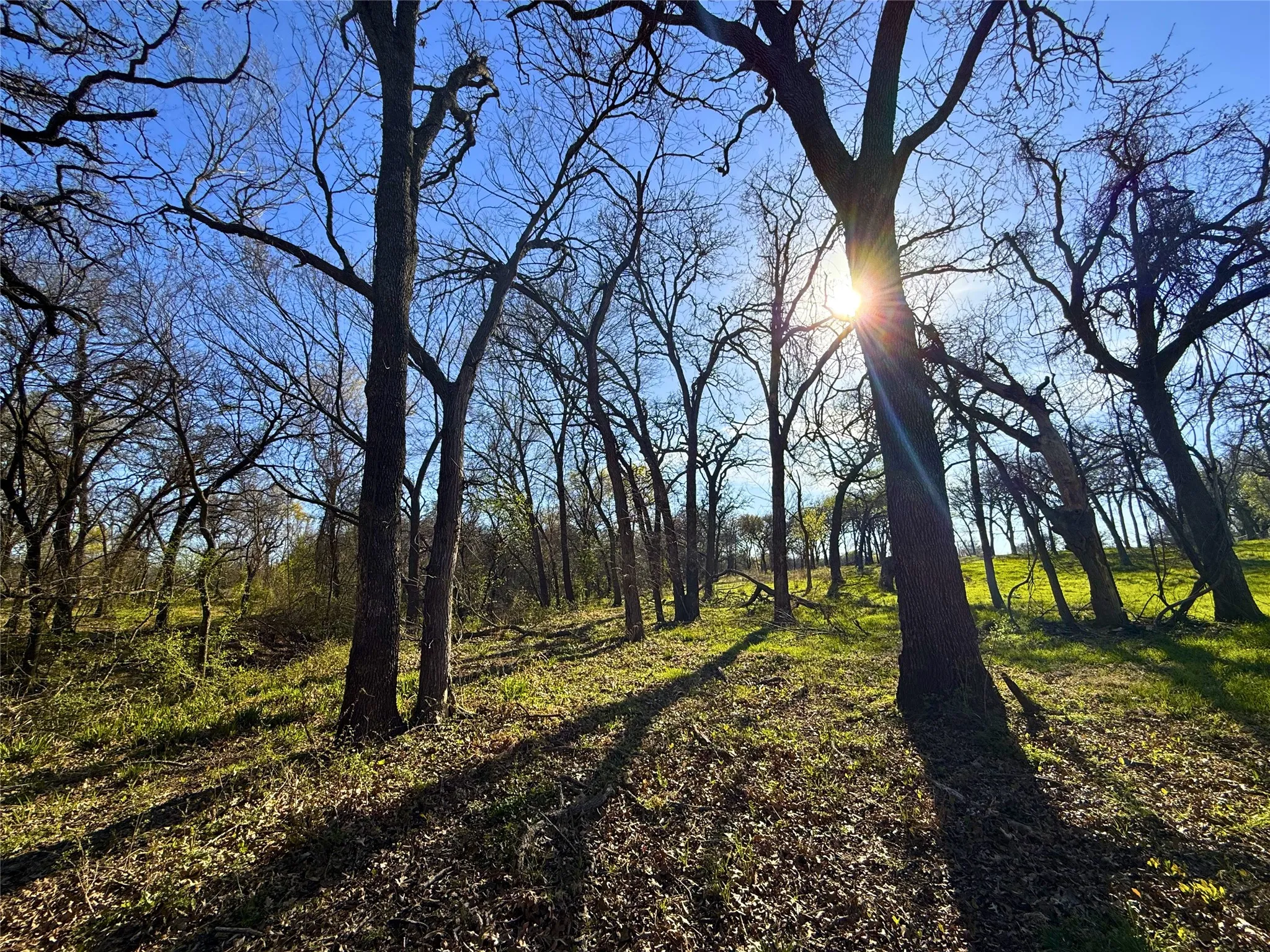 Farm For Sale in Parker County , 2196 Old Agnes Road, Weatherford, Texas 76088, 3 Bedrooms, 3 Bathrooms, Garage spaces, 2,700 Sqft, built in 1965, Preowned, Price $1,150,000, mls#21236553, Real Estate Agent in Weatherford, Homes For Sale in Parker county, Homes For Sale in Weatherford, Realtor in Weatherford Texas, Real Estate Brokerage Independent Realty Texas, Luminita Cordes Realtor