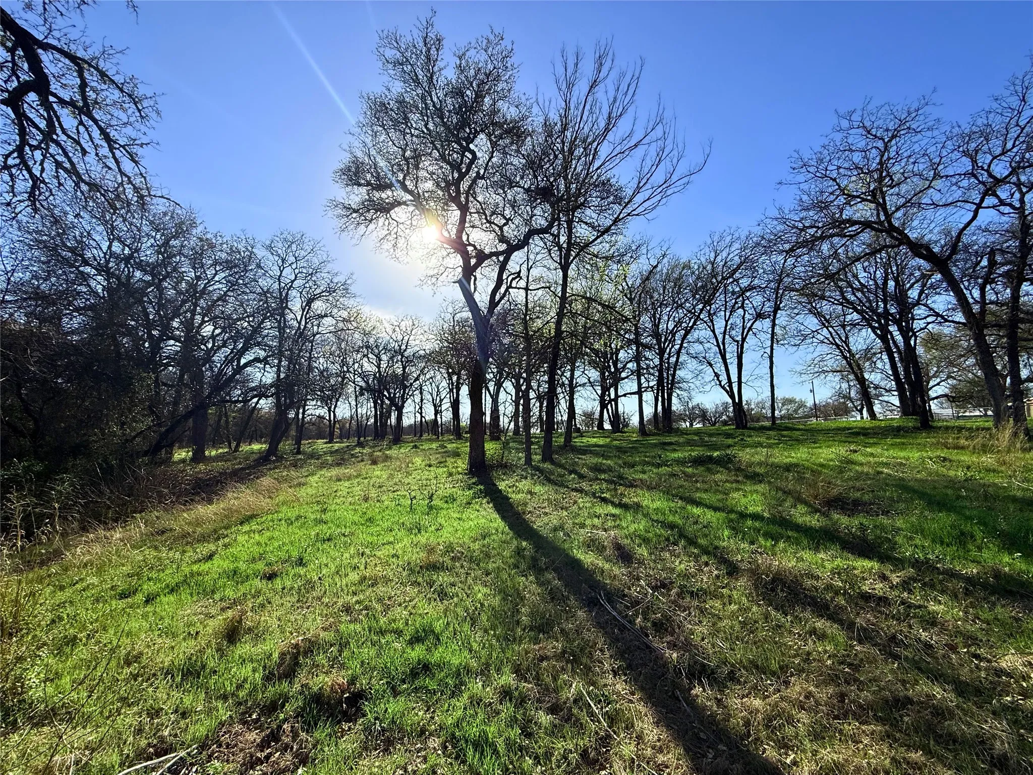 Farm For Sale in Parker County , 2196 Old Agnes Road, Weatherford, Texas 76088, 3 Bedrooms, 3 Bathrooms, Garage spaces, 2,700 Sqft, built in 1965, Preowned, Price $1,150,000, mls#21236553, Real Estate Agent in Weatherford, Homes For Sale in Parker county, Homes For Sale in Weatherford, Realtor in Weatherford Texas, Real Estate Brokerage Independent Realty Texas, Luminita Cordes Realtor