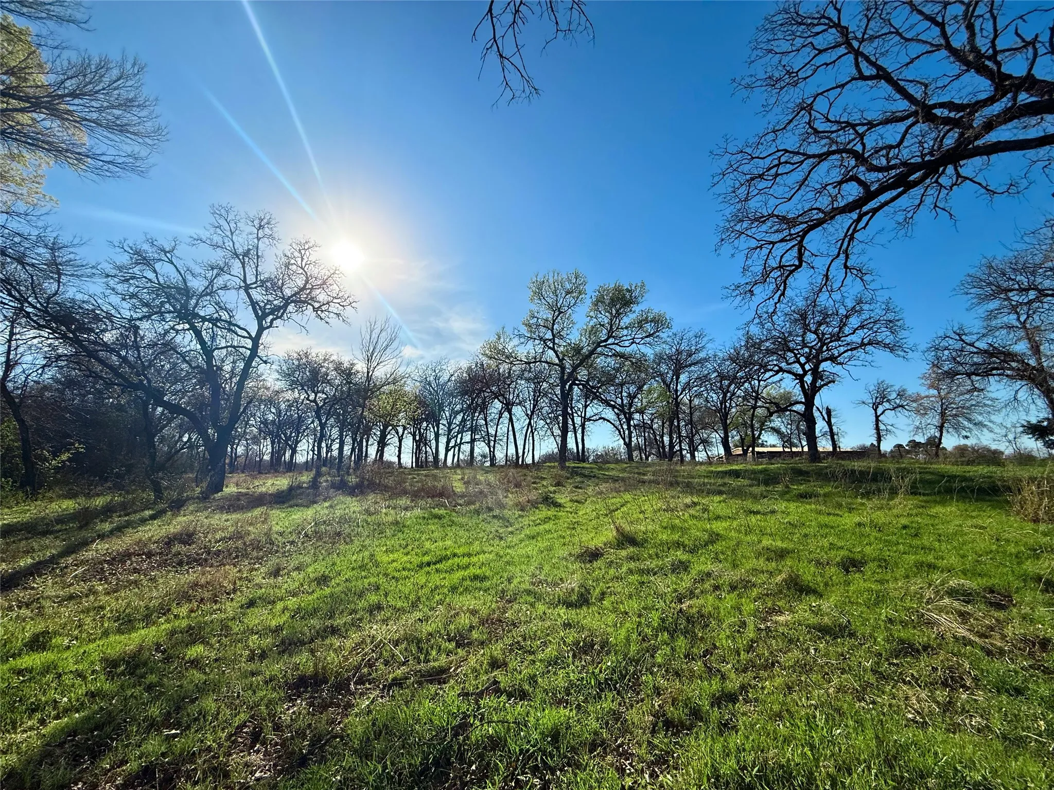 Farm For Sale in Parker County , 2196 Old Agnes Road, Weatherford, Texas 76088, 3 Bedrooms, 3 Bathrooms, Garage spaces, 2,700 Sqft, built in 1965, Preowned, Price $1,150,000, mls#21236553, Real Estate Agent in Weatherford, Homes For Sale in Parker county, Homes For Sale in Weatherford, Realtor in Weatherford Texas, Real Estate Brokerage Independent Realty Texas, Luminita Cordes Realtor