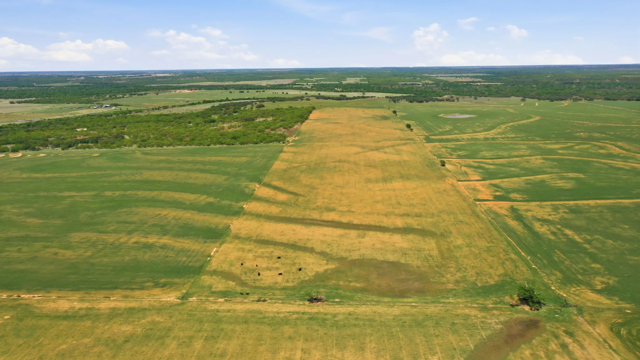 Farm For Sale in Young County , 200 Strother Road, Newcastle, Texas 76372, 3 Bedroom, 2 Bathroom, Garage spaces, 2,292 Sqft, built in 1940, mls#21236574, Real Estate Agent in Newcastle, Homes For Sale in Young county, Homes For Sale in Newcastle, Realtor in Newcastle Texas, Real Estate Brokerage Independent Realty Texas, Luminita Cordes Realtor