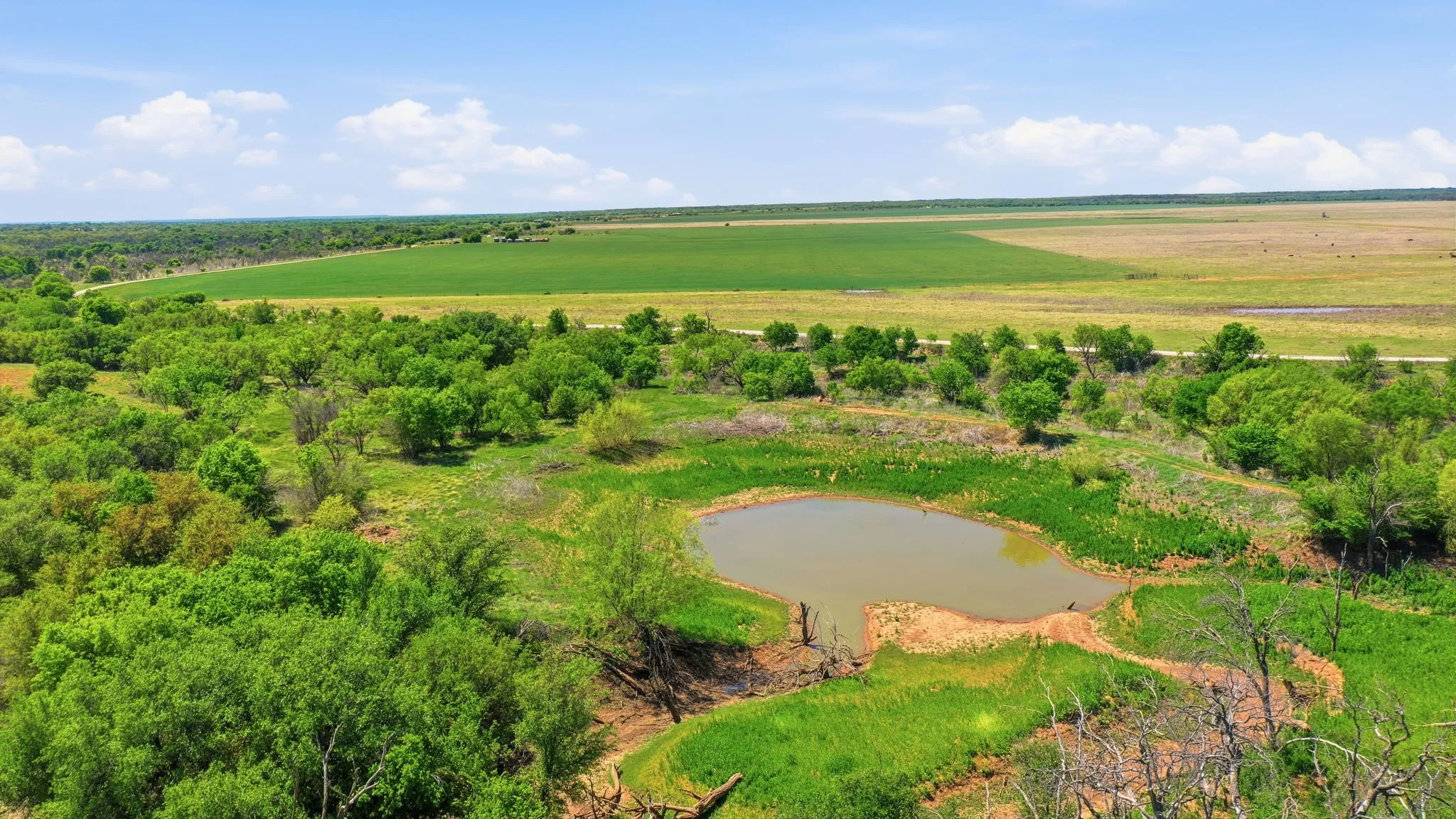 Farm For Sale in Young County , 200 Strother Road, Newcastle, Texas 76372, 3 Bedroom, 2 Bathroom, Garage spaces, 2,292 Sqft, built in 1940, mls#21236574, Real Estate Agent in Newcastle, Homes For Sale in Young county, Homes For Sale in Newcastle, Realtor in Newcastle Texas, Real Estate Brokerage Independent Realty Texas, Luminita Cordes Realtor