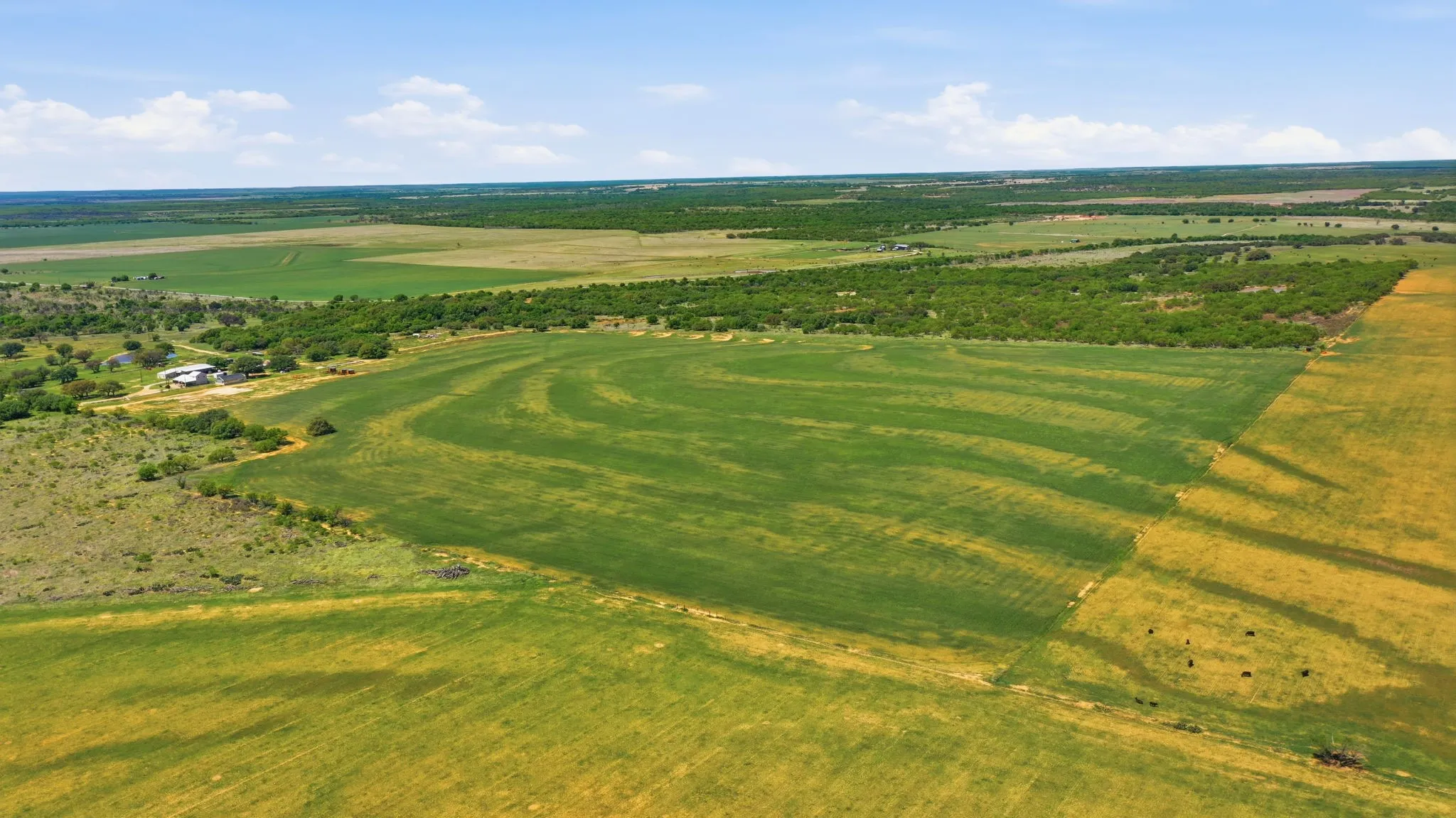 Farm For Sale in Young County , 200 Strother Road, Newcastle, Texas 76372, 3 Bedroom, 2 Bathroom, Garage spaces, 2,292 Sqft, built in 1940, mls#21236574, Real Estate Agent in Newcastle, Homes For Sale in Young county, Homes For Sale in Newcastle, Realtor in Newcastle Texas, Real Estate Brokerage Independent Realty Texas, Luminita Cordes Realtor
