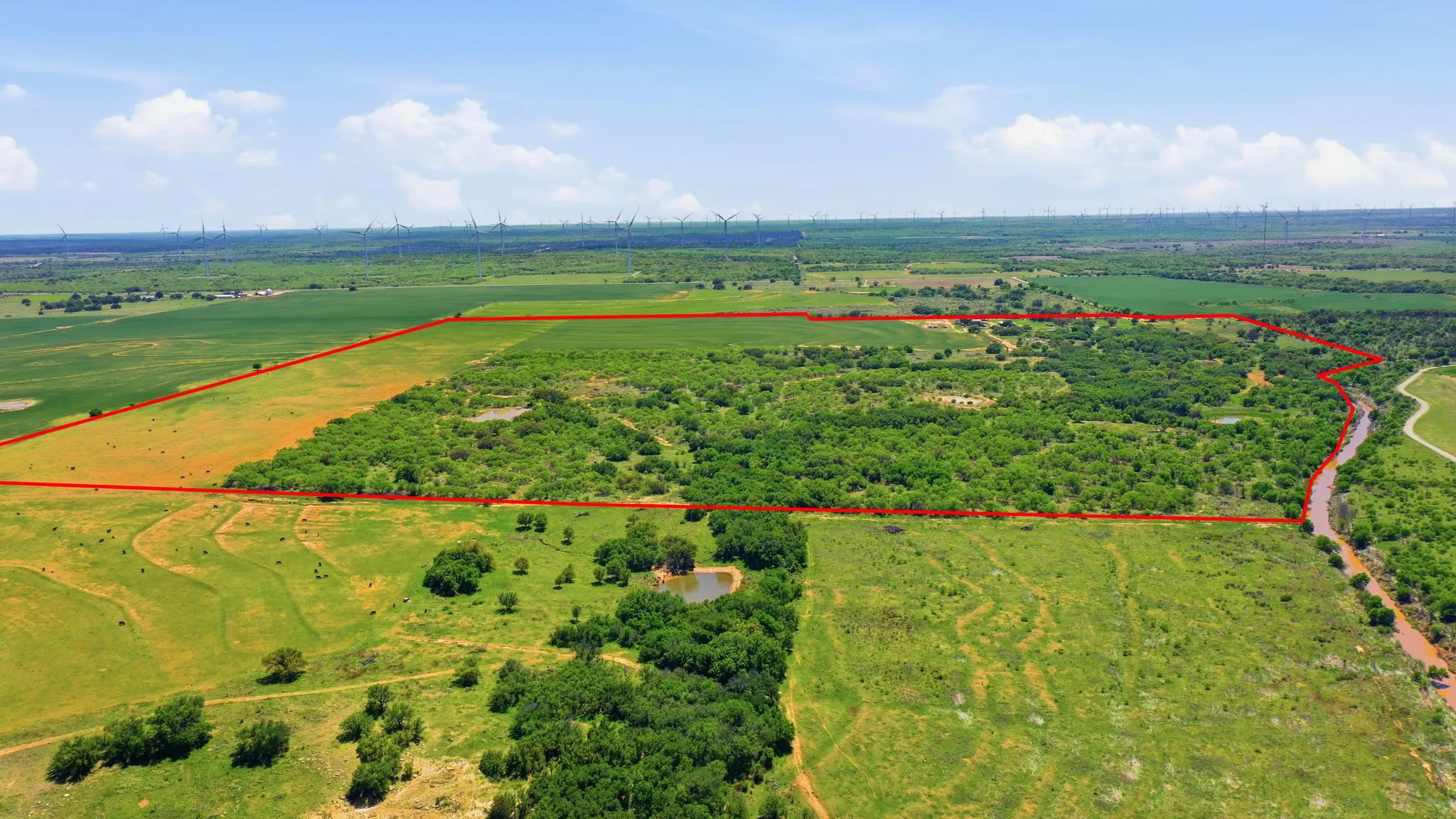 Farm For Sale in Young County , 200 Strother Road, Newcastle, Texas 76372, 3 Bedroom, 2 Bathroom, Garage spaces, 2,292 Sqft, built in 1940, mls#21236574, Real Estate Agent in Newcastle, Homes For Sale in Young county, Homes For Sale in Newcastle, Realtor in Newcastle Texas, Real Estate Brokerage Independent Realty Texas, Luminita Cordes Realtor
