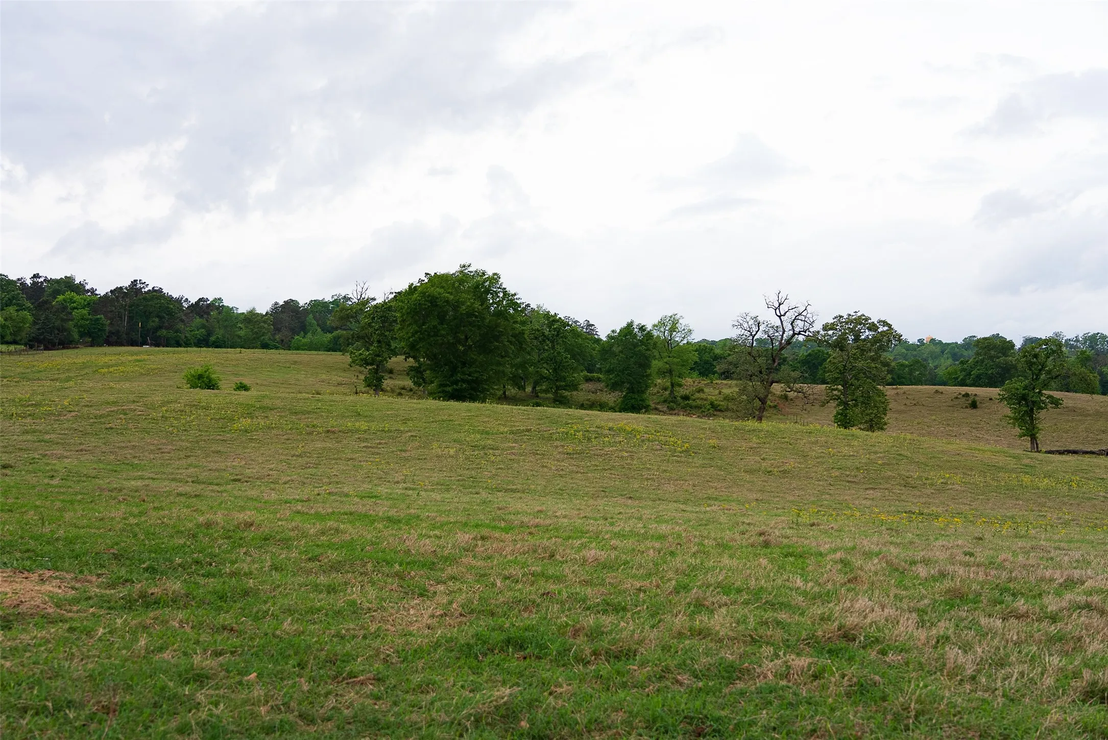 Improved Land For Sale in Cherokee County , 00 Tract 1 CR 1615, Jacksonville, Texas 75766, 0, 0, Garage spaces, 0 Sqft, built in 0, Price $365,000, mls#21236593, Real Estate Agent in Jacksonville, Homes For Sale in Cherokee county, Homes For Sale in Jacksonville, Realtor in Jacksonville Texas, Real Estate Brokerage Independent Realty Texas, Luminita Cordes Realtor
