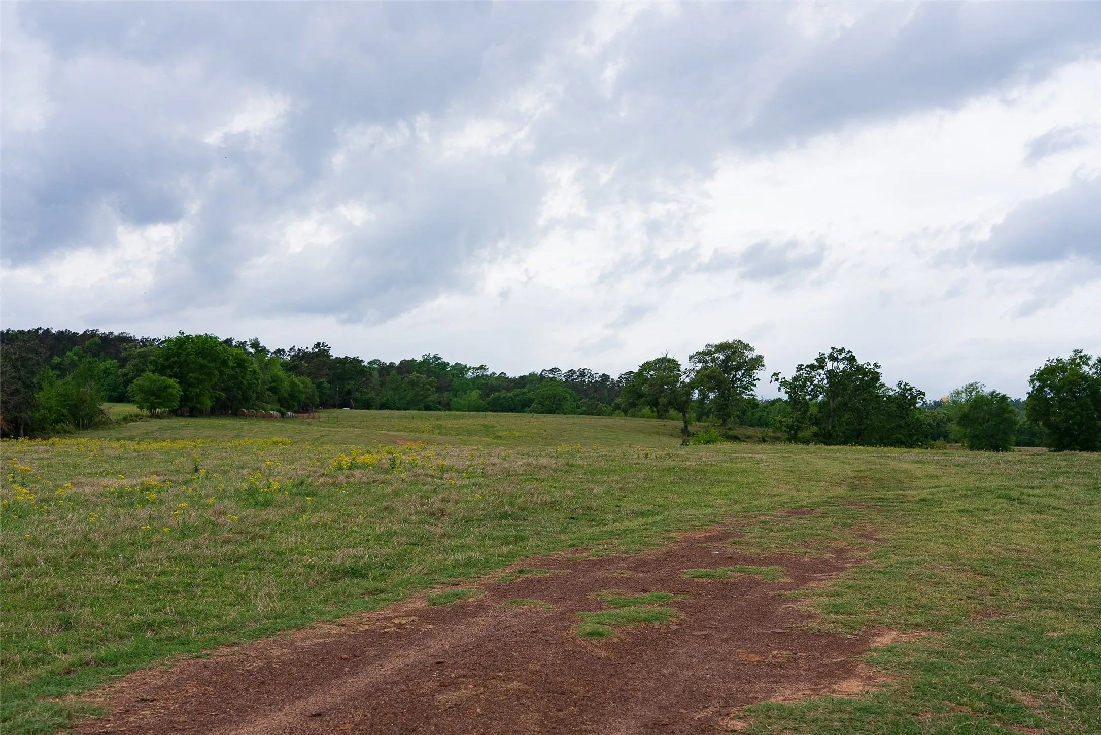 Improved Land For Sale in Cherokee County , 00 Tract 1 CR 1615, Jacksonville, Texas 75766, 0, 0, Garage spaces, 0 Sqft, built in 0, Price $365,000, mls#21236593, Real Estate Agent in Jacksonville, Homes For Sale in Cherokee county, Homes For Sale in Jacksonville, Realtor in Jacksonville Texas, Real Estate Brokerage Independent Realty Texas, Luminita Cordes Realtor