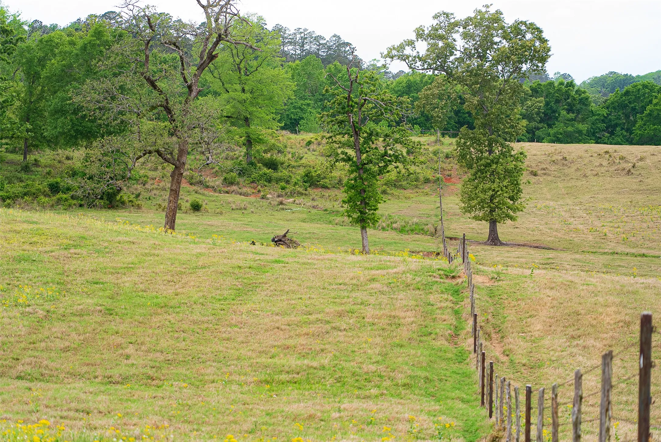 Improved Land For Sale in Cherokee County , 00 Tract 1 CR 1615, Jacksonville, Texas 75766, 0, 0, Garage spaces, 0 Sqft, built in 0, Price $365,000, mls#21236593, Real Estate Agent in Jacksonville, Homes For Sale in Cherokee county, Homes For Sale in Jacksonville, Realtor in Jacksonville Texas, Real Estate Brokerage Independent Realty Texas, Luminita Cordes Realtor