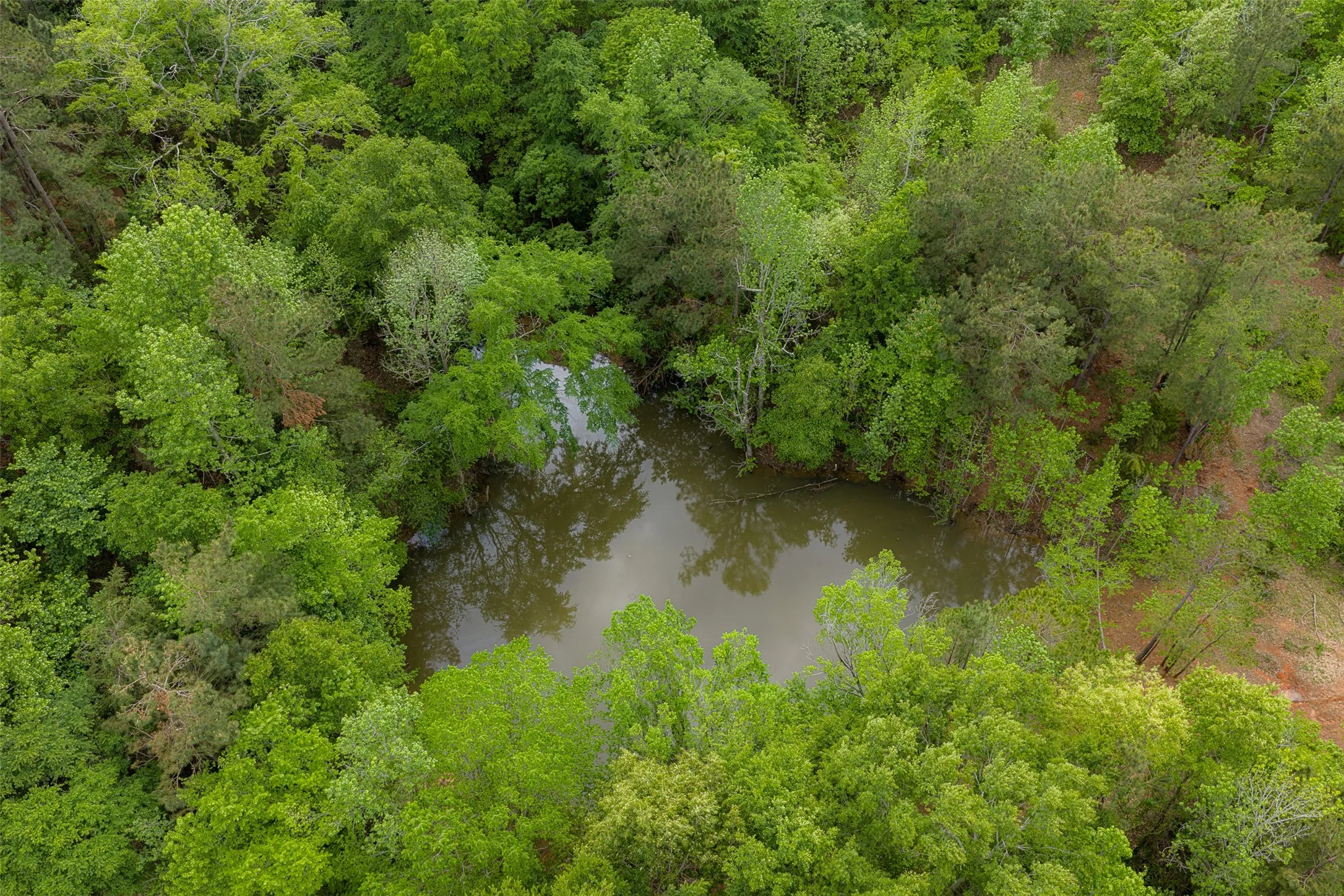 Improved Land For Sale in Cherokee County , 00 Tract 1 CR 1615, Jacksonville, Texas 75766, 0, 0, Garage spaces, 0 Sqft, built in 0, Price $365,000, mls#21236593, Real Estate Agent in Jacksonville, Homes For Sale in Cherokee county, Homes For Sale in Jacksonville, Realtor in Jacksonville Texas, Real Estate Brokerage Independent Realty Texas, Luminita Cordes Realtor