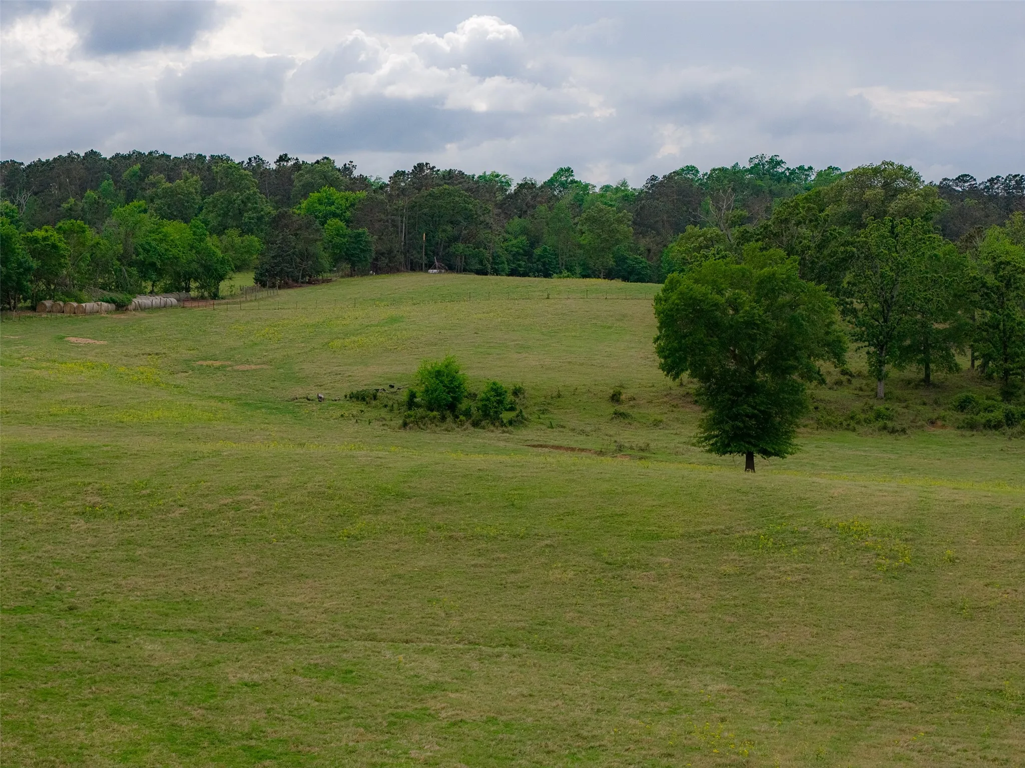 Improved Land For Sale in Cherokee County , 00 Tract 1 CR 1615, Jacksonville, Texas 75766, 0, 0, Garage spaces, 0 Sqft, built in 0, Price $365,000, mls#21236593, Real Estate Agent in Jacksonville, Homes For Sale in Cherokee county, Homes For Sale in Jacksonville, Realtor in Jacksonville Texas, Real Estate Brokerage Independent Realty Texas, Luminita Cordes Realtor