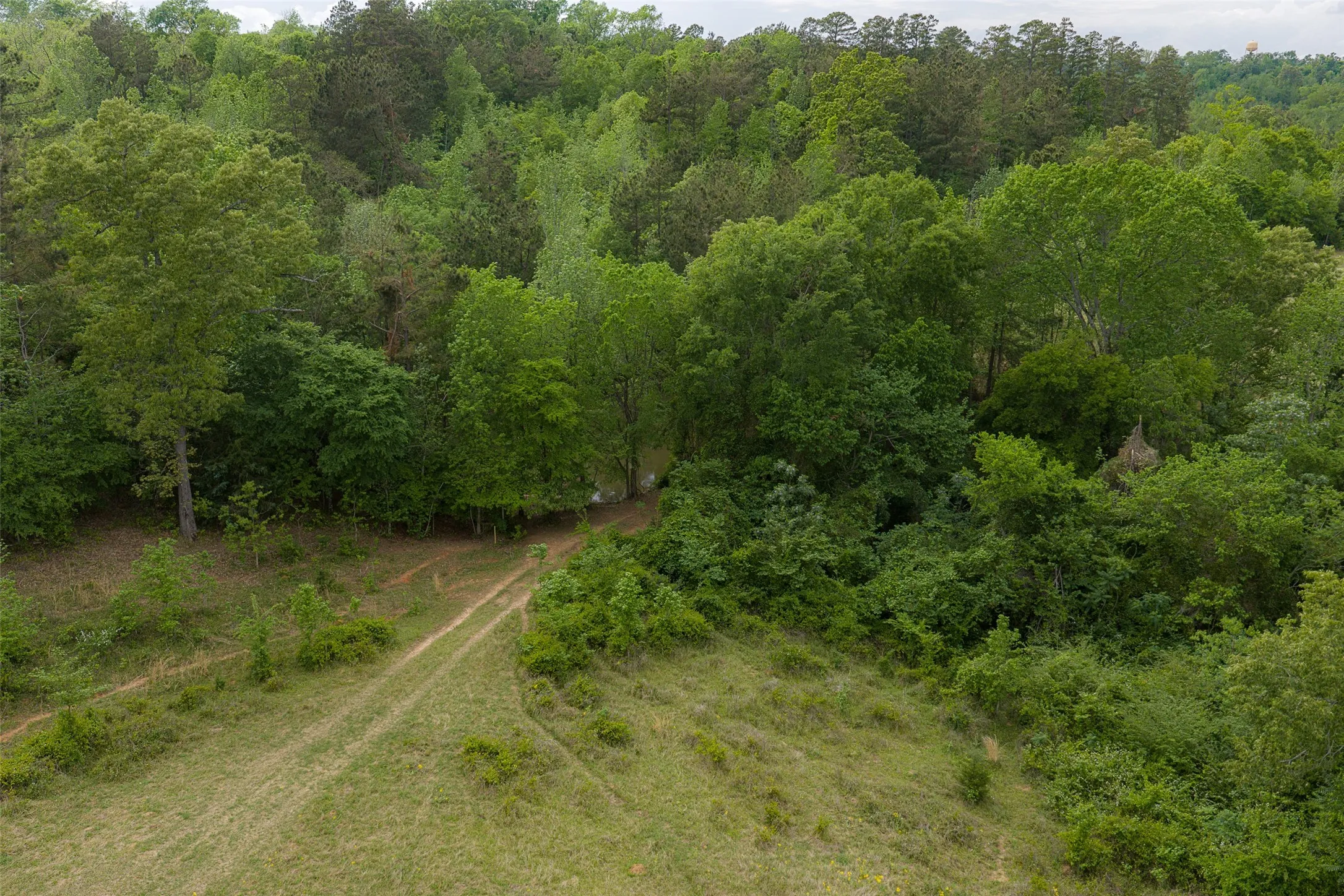 Improved Land For Sale in Cherokee County , 00 Tract 1 CR 1615, Jacksonville, Texas 75766, 0, 0, Garage spaces, 0 Sqft, built in 0, Price $365,000, mls#21236593, Real Estate Agent in Jacksonville, Homes For Sale in Cherokee county, Homes For Sale in Jacksonville, Realtor in Jacksonville Texas, Real Estate Brokerage Independent Realty Texas, Luminita Cordes Realtor