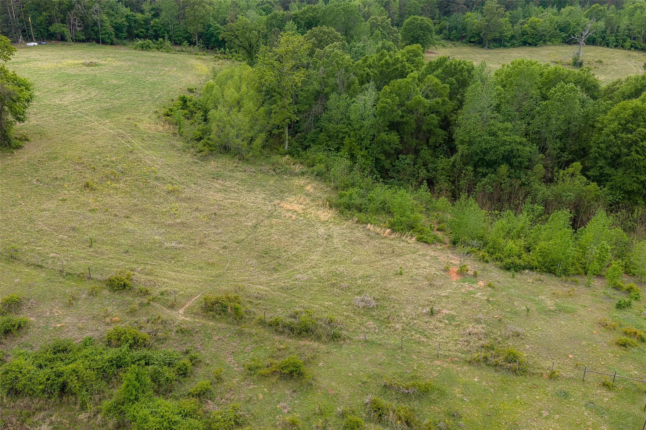 Improved Land For Sale in Cherokee County , 00 Tract 1 CR 1615, Jacksonville, Texas 75766, 0, 0, Garage spaces, 0 Sqft, built in 0, Price $365,000, mls#21236593, Real Estate Agent in Jacksonville, Homes For Sale in Cherokee county, Homes For Sale in Jacksonville, Realtor in Jacksonville Texas, Real Estate Brokerage Independent Realty Texas, Luminita Cordes Realtor