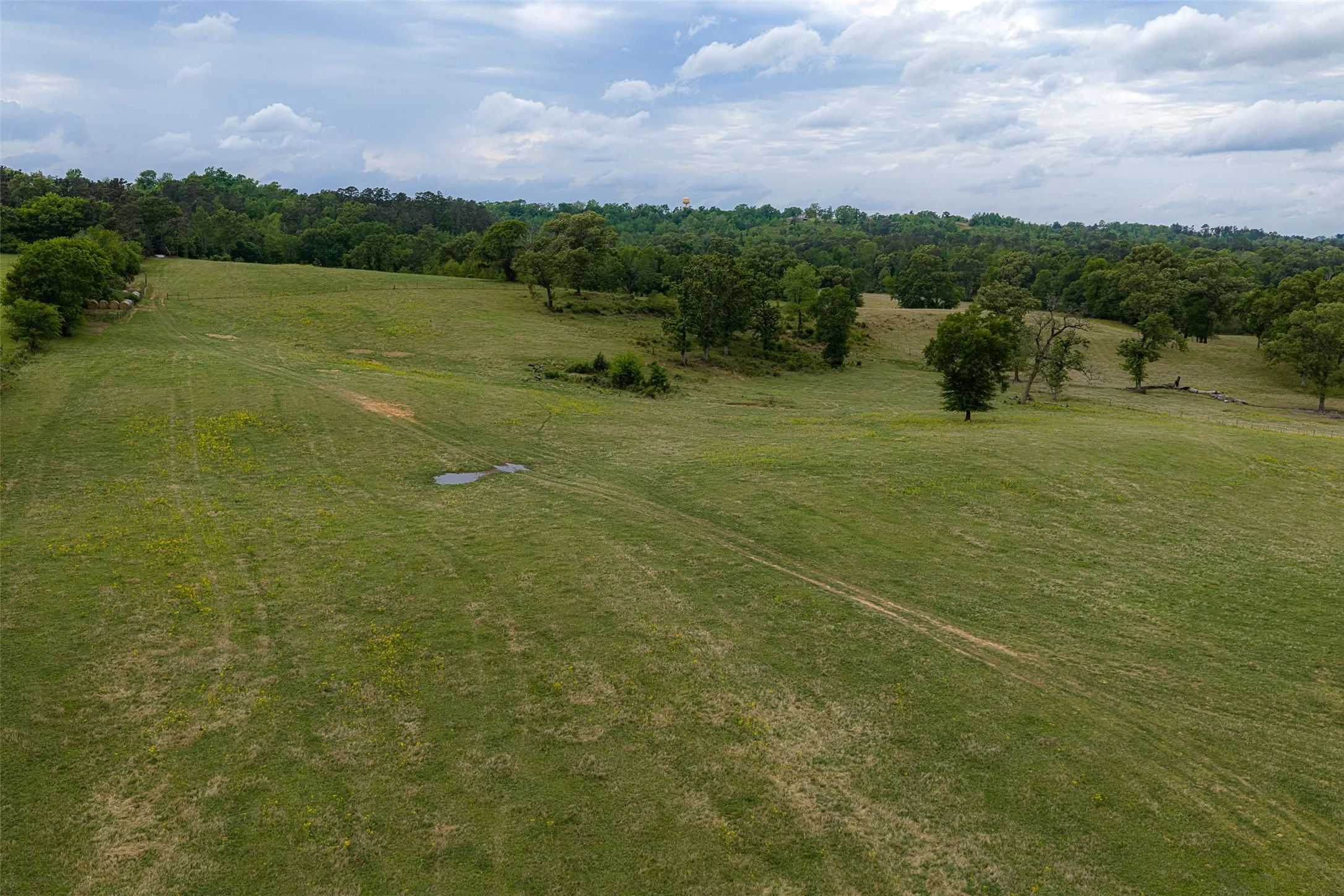Improved Land For Sale in Cherokee County , 00 Tract 1 CR 1615, Jacksonville, Texas 75766, 0, 0, Garage spaces, 0 Sqft, built in 0, Price $365,000, mls#21236593, Real Estate Agent in Jacksonville, Homes For Sale in Cherokee county, Homes For Sale in Jacksonville, Realtor in Jacksonville Texas, Real Estate Brokerage Independent Realty Texas, Luminita Cordes Realtor