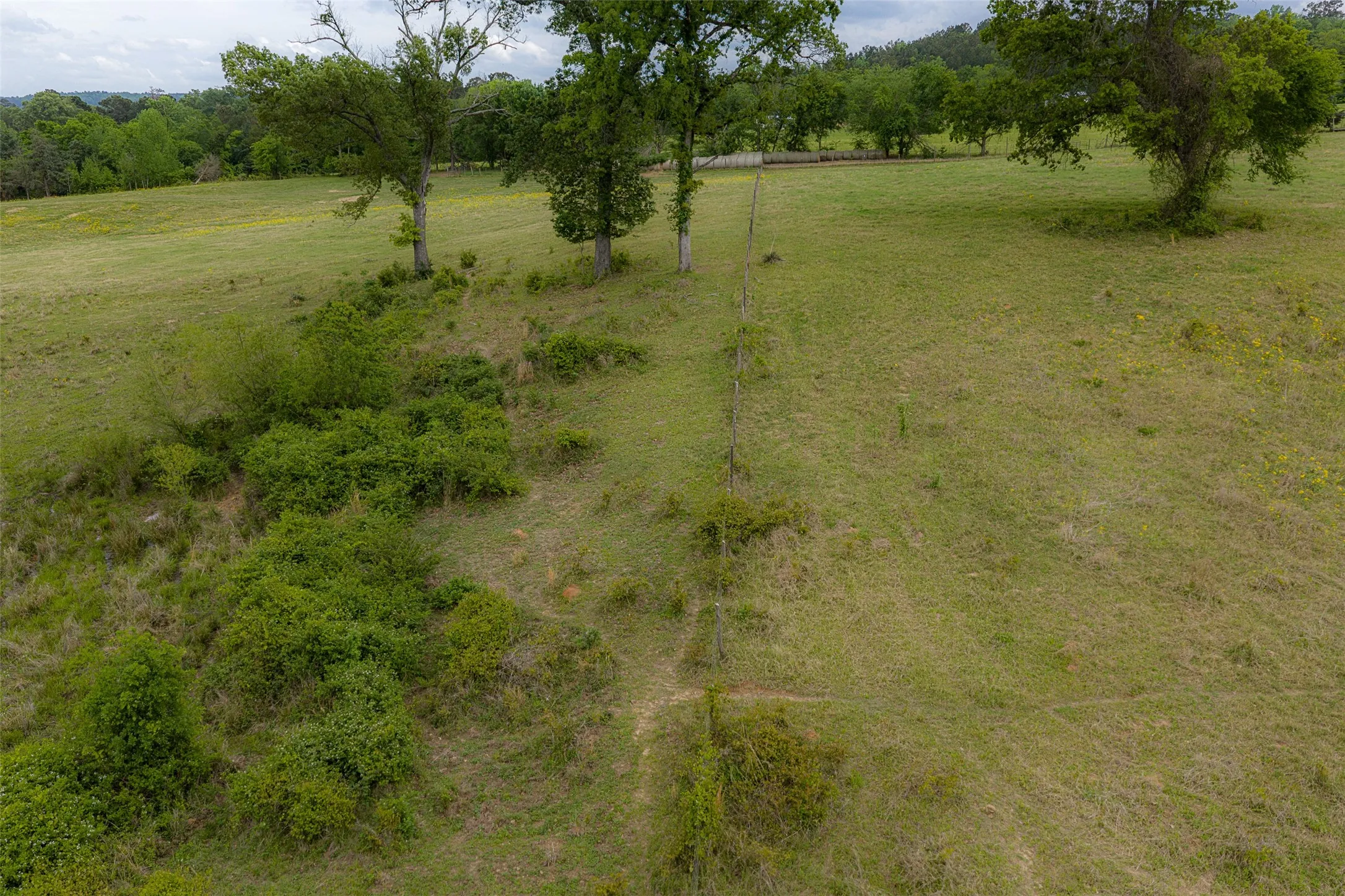 Improved Land For Sale in Cherokee County , 00 Tract 1 CR 1615, Jacksonville, Texas 75766, 0, 0, Garage spaces, 0 Sqft, built in 0, Price $365,000, mls#21236593, Real Estate Agent in Jacksonville, Homes For Sale in Cherokee county, Homes For Sale in Jacksonville, Realtor in Jacksonville Texas, Real Estate Brokerage Independent Realty Texas, Luminita Cordes Realtor