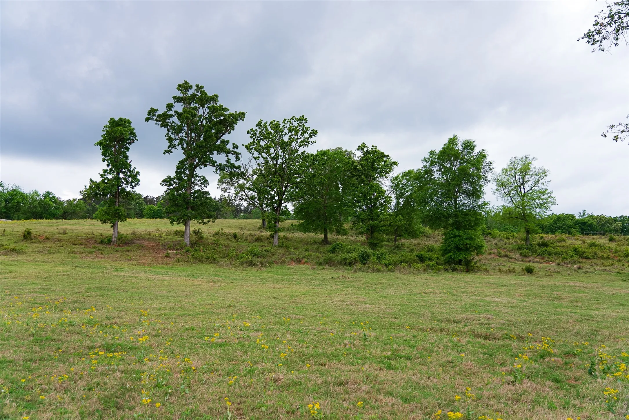 Improved Land For Sale in Cherokee County , 00 Tract 1 CR 1615, Jacksonville, Texas 75766, 0, 0, Garage spaces, 0 Sqft, built in 0, Price $365,000, mls#21236593, Real Estate Agent in Jacksonville, Homes For Sale in Cherokee county, Homes For Sale in Jacksonville, Realtor in Jacksonville Texas, Real Estate Brokerage Independent Realty Texas, Luminita Cordes Realtor
