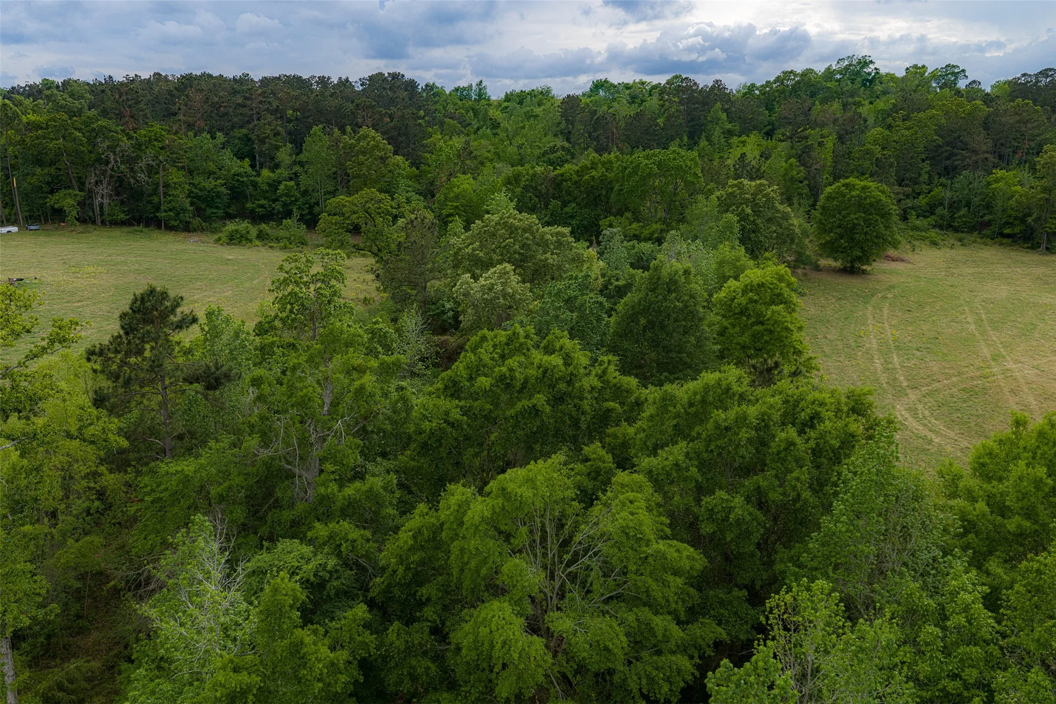 Improved Land For Sale in Cherokee County , 00 Tract 1 CR 1615, Jacksonville, Texas 75766, 0, 0, Garage spaces, 0 Sqft, built in 0, Price $365,000, mls#21236593, Real Estate Agent in Jacksonville, Homes For Sale in Cherokee county, Homes For Sale in Jacksonville, Realtor in Jacksonville Texas, Real Estate Brokerage Independent Realty Texas, Luminita Cordes Realtor