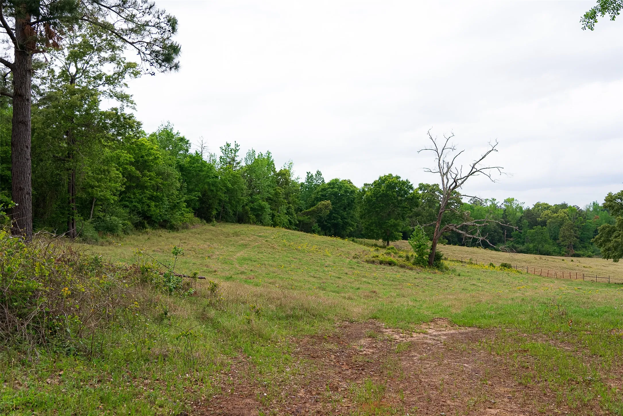 Improved Land For Sale in Cherokee County , 00 Tract 1 CR 1615, Jacksonville, Texas 75766, 0, 0, Garage spaces, 0 Sqft, built in 0, Price $365,000, mls#21236593, Real Estate Agent in Jacksonville, Homes For Sale in Cherokee county, Homes For Sale in Jacksonville, Realtor in Jacksonville Texas, Real Estate Brokerage Independent Realty Texas, Luminita Cordes Realtor