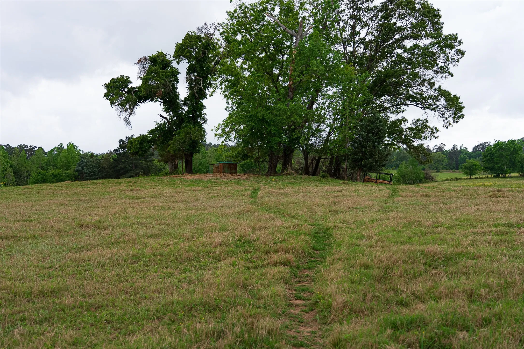 Improved Land For Sale in Cherokee County , 00 Tract 1 CR 1615, Jacksonville, Texas 75766, 0, 0, Garage spaces, 0 Sqft, built in 0, Price $365,000, mls#21236593, Real Estate Agent in Jacksonville, Homes For Sale in Cherokee county, Homes For Sale in Jacksonville, Realtor in Jacksonville Texas, Real Estate Brokerage Independent Realty Texas, Luminita Cordes Realtor