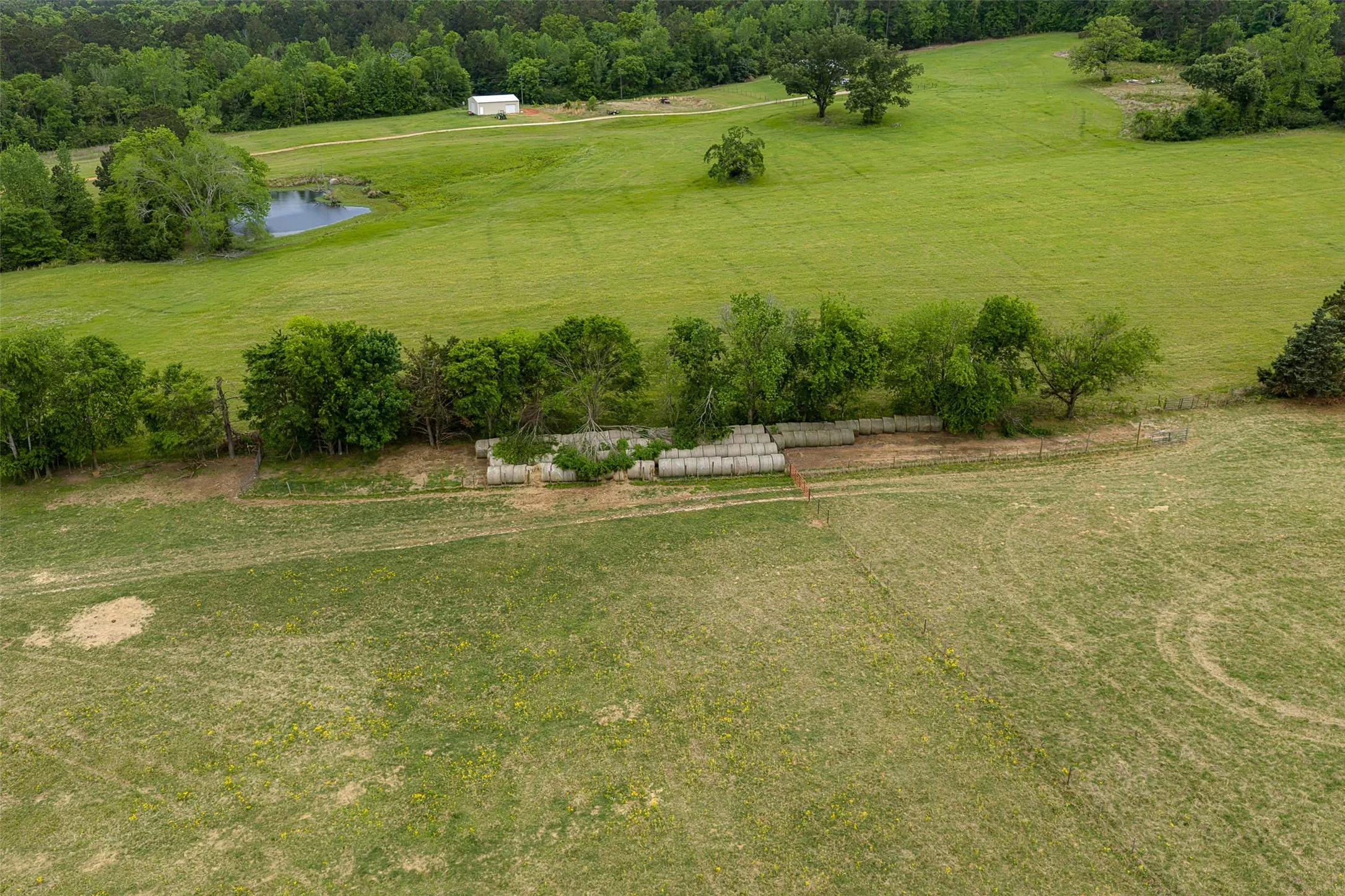 Improved Land For Sale in Cherokee County , 00 Tract 1 CR 1615, Jacksonville, Texas 75766, 0, 0, Garage spaces, 0 Sqft, built in 0, Price $365,000, mls#21236593, Real Estate Agent in Jacksonville, Homes For Sale in Cherokee county, Homes For Sale in Jacksonville, Realtor in Jacksonville Texas, Real Estate Brokerage Independent Realty Texas, Luminita Cordes Realtor