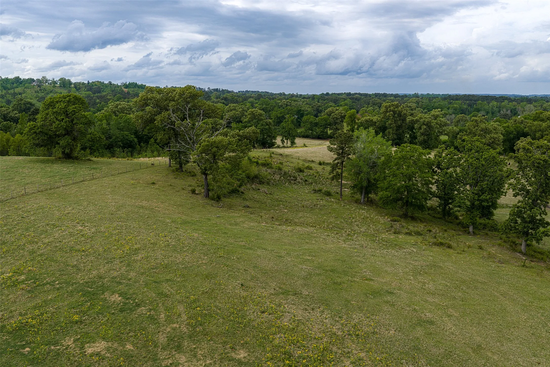 Improved Land For Sale in Cherokee County , 00 Tract 1 CR 1615, Jacksonville, Texas 75766, 0, 0, Garage spaces, 0 Sqft, built in 0, Price $365,000, mls#21236593, Real Estate Agent in Jacksonville, Homes For Sale in Cherokee county, Homes For Sale in Jacksonville, Realtor in Jacksonville Texas, Real Estate Brokerage Independent Realty Texas, Luminita Cordes Realtor