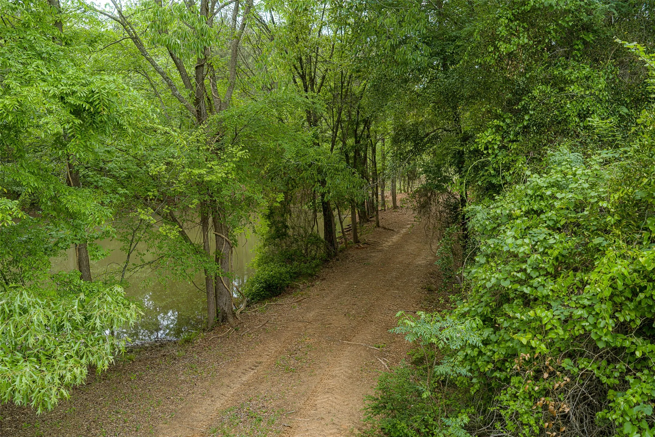 Improved Land For Sale in Cherokee County , 00 Tract 1 CR 1615, Jacksonville, Texas 75766, 0, 0, Garage spaces, 0 Sqft, built in 0, Price $365,000, mls#21236593, Real Estate Agent in Jacksonville, Homes For Sale in Cherokee county, Homes For Sale in Jacksonville, Realtor in Jacksonville Texas, Real Estate Brokerage Independent Realty Texas, Luminita Cordes Realtor