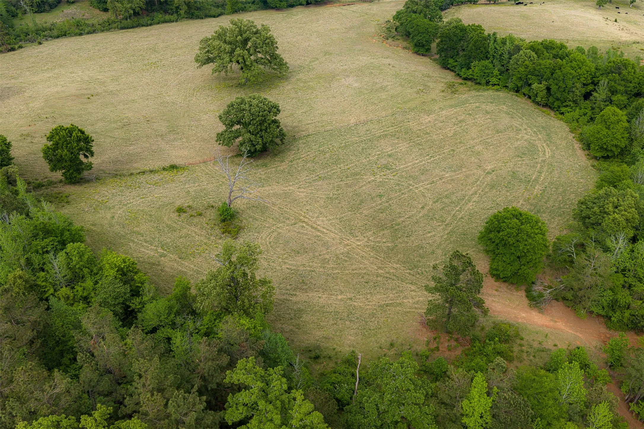 Improved Land For Sale in Cherokee County , 00 Tract 1 CR 1615, Jacksonville, Texas 75766, 0, 0, Garage spaces, 0 Sqft, built in 0, Price $365,000, mls#21236593, Real Estate Agent in Jacksonville, Homes For Sale in Cherokee county, Homes For Sale in Jacksonville, Realtor in Jacksonville Texas, Real Estate Brokerage Independent Realty Texas, Luminita Cordes Realtor