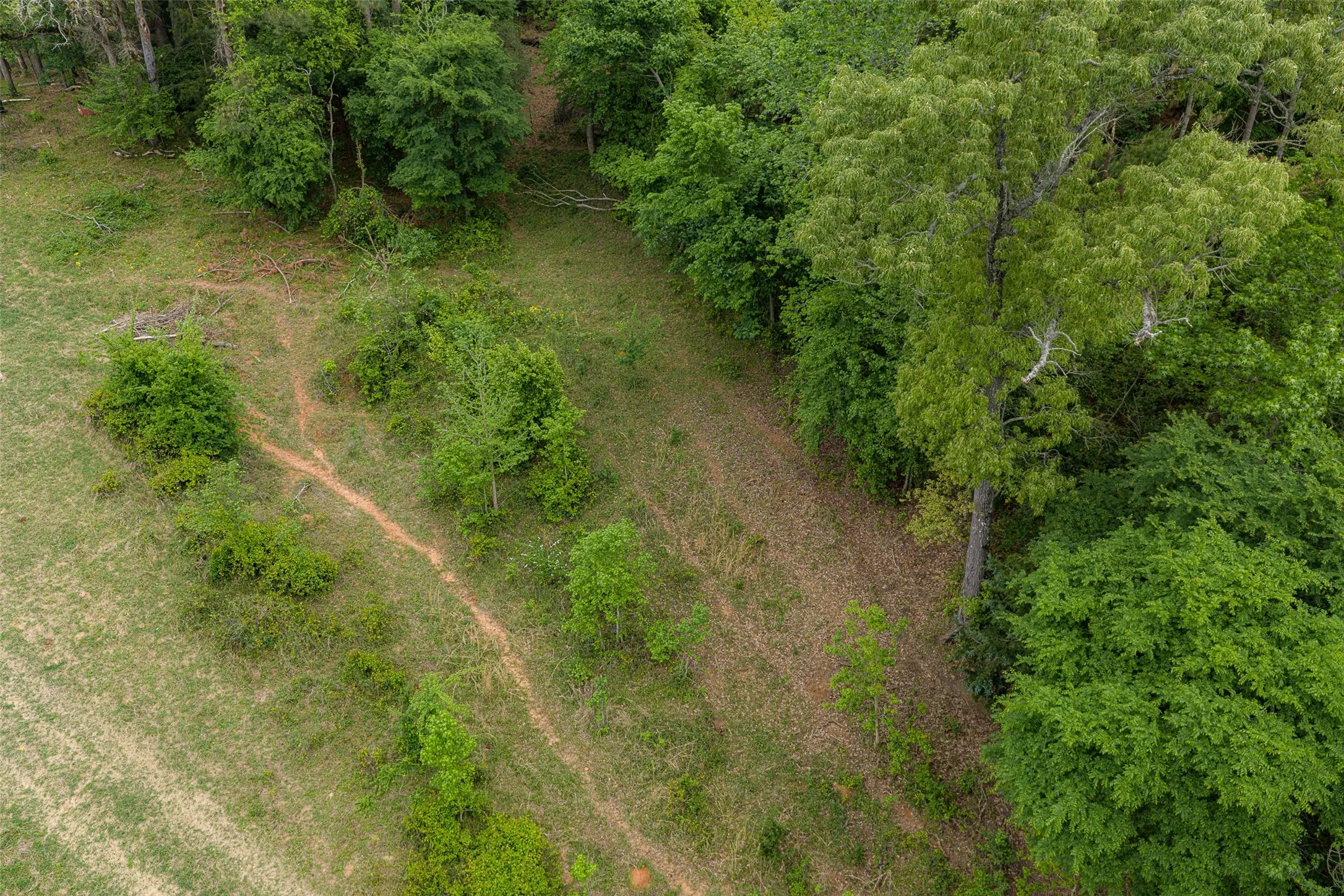 Improved Land For Sale in Cherokee County , 00 Tract 1 CR 1615, Jacksonville, Texas 75766, 0, 0, Garage spaces, 0 Sqft, built in 0, Price $365,000, mls#21236593, Real Estate Agent in Jacksonville, Homes For Sale in Cherokee county, Homes For Sale in Jacksonville, Realtor in Jacksonville Texas, Real Estate Brokerage Independent Realty Texas, Luminita Cordes Realtor