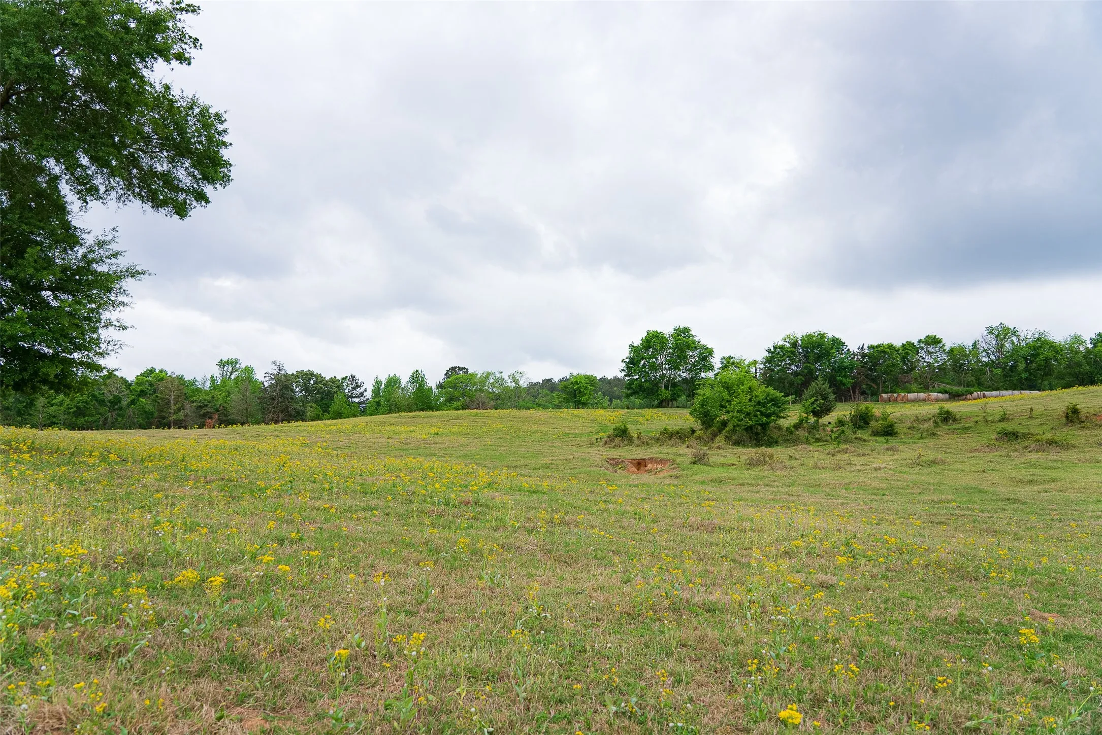 Improved Land For Sale in Cherokee County , 00 Tract 1 CR 1615, Jacksonville, Texas 75766, 0, 0, Garage spaces, 0 Sqft, built in 0, Price $365,000, mls#21236593, Real Estate Agent in Jacksonville, Homes For Sale in Cherokee county, Homes For Sale in Jacksonville, Realtor in Jacksonville Texas, Real Estate Brokerage Independent Realty Texas, Luminita Cordes Realtor