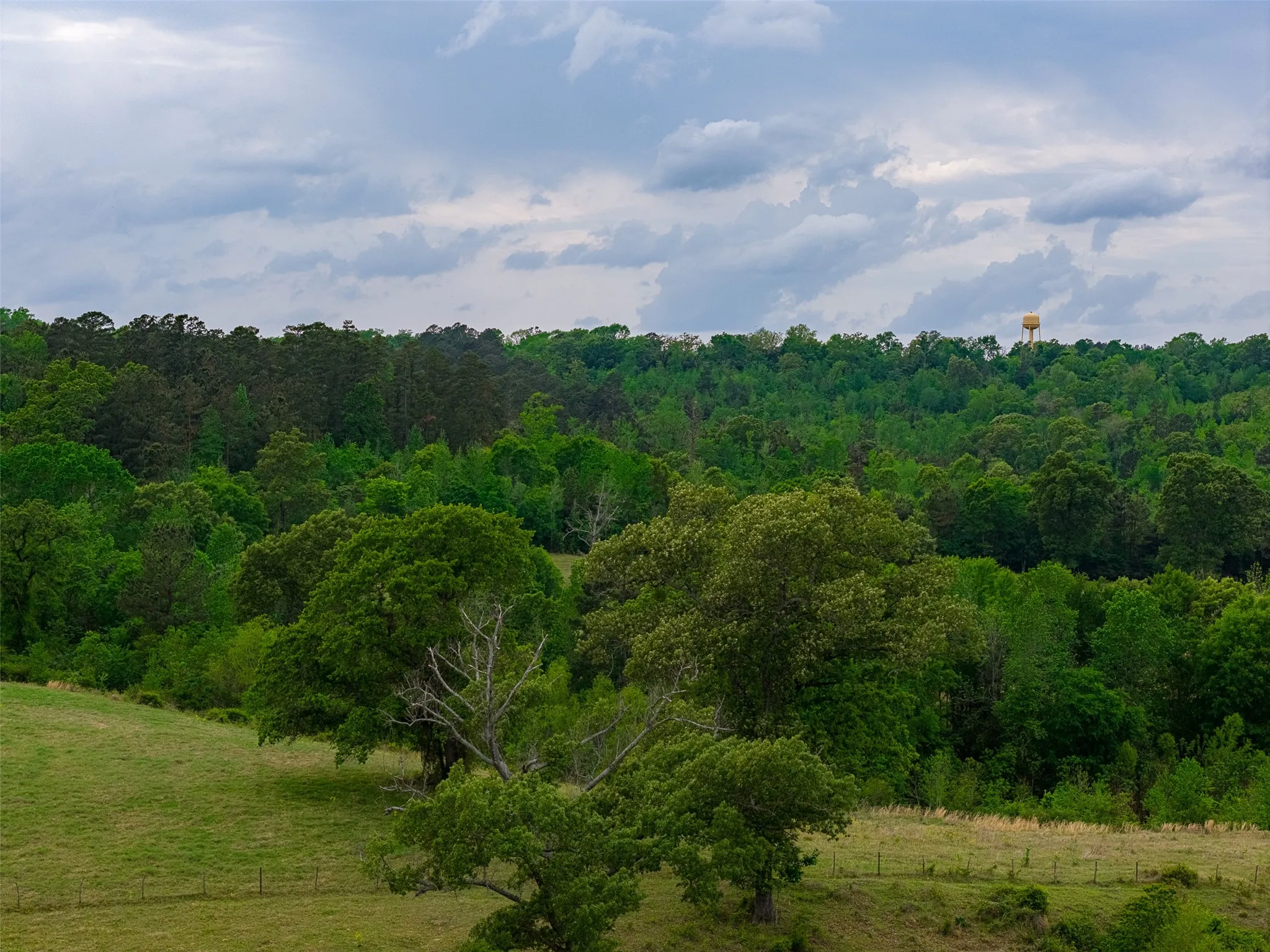 Improved Land For Sale in Cherokee County , 00 Tract 1 CR 1615, Jacksonville, Texas 75766, 0, 0, Garage spaces, 0 Sqft, built in 0, Price $365,000, mls#21236593, Real Estate Agent in Jacksonville, Homes For Sale in Cherokee county, Homes For Sale in Jacksonville, Realtor in Jacksonville Texas, Real Estate Brokerage Independent Realty Texas, Luminita Cordes Realtor