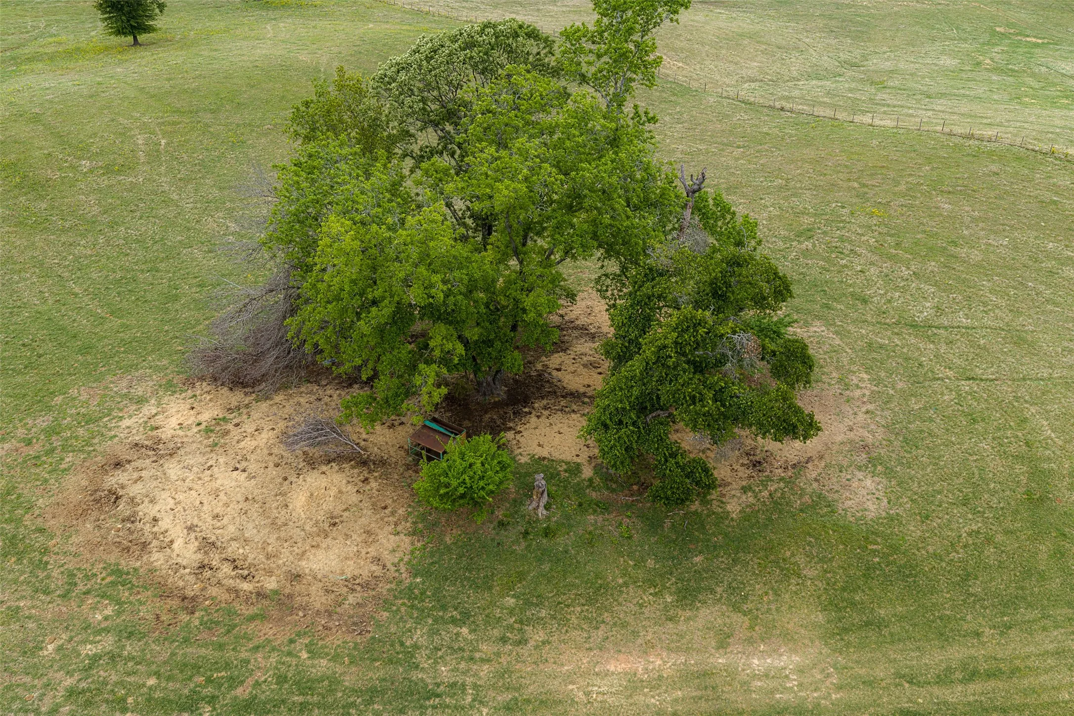 Improved Land For Sale in Cherokee County , 00 Tract 1 CR 1615, Jacksonville, Texas 75766, 0, 0, Garage spaces, 0 Sqft, built in 0, Price $365,000, mls#21236593, Real Estate Agent in Jacksonville, Homes For Sale in Cherokee county, Homes For Sale in Jacksonville, Realtor in Jacksonville Texas, Real Estate Brokerage Independent Realty Texas, Luminita Cordes Realtor