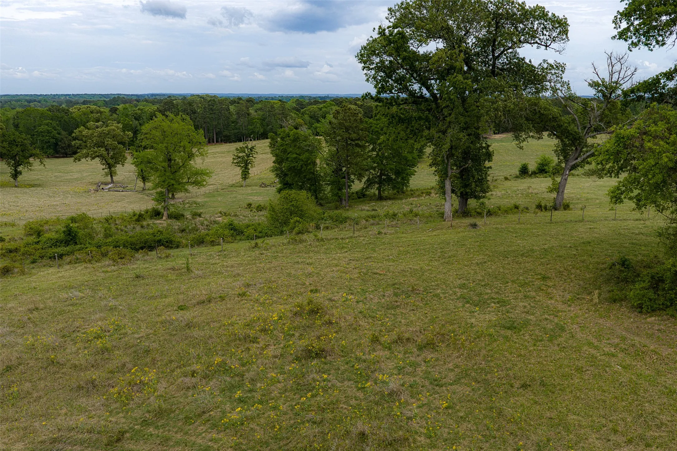 Improved Land For Sale in Cherokee County , 00 Tract 1 CR 1615, Jacksonville, Texas 75766, 0, 0, Garage spaces, 0 Sqft, built in 0, Price $365,000, mls#21236593, Real Estate Agent in Jacksonville, Homes For Sale in Cherokee county, Homes For Sale in Jacksonville, Realtor in Jacksonville Texas, Real Estate Brokerage Independent Realty Texas, Luminita Cordes Realtor
