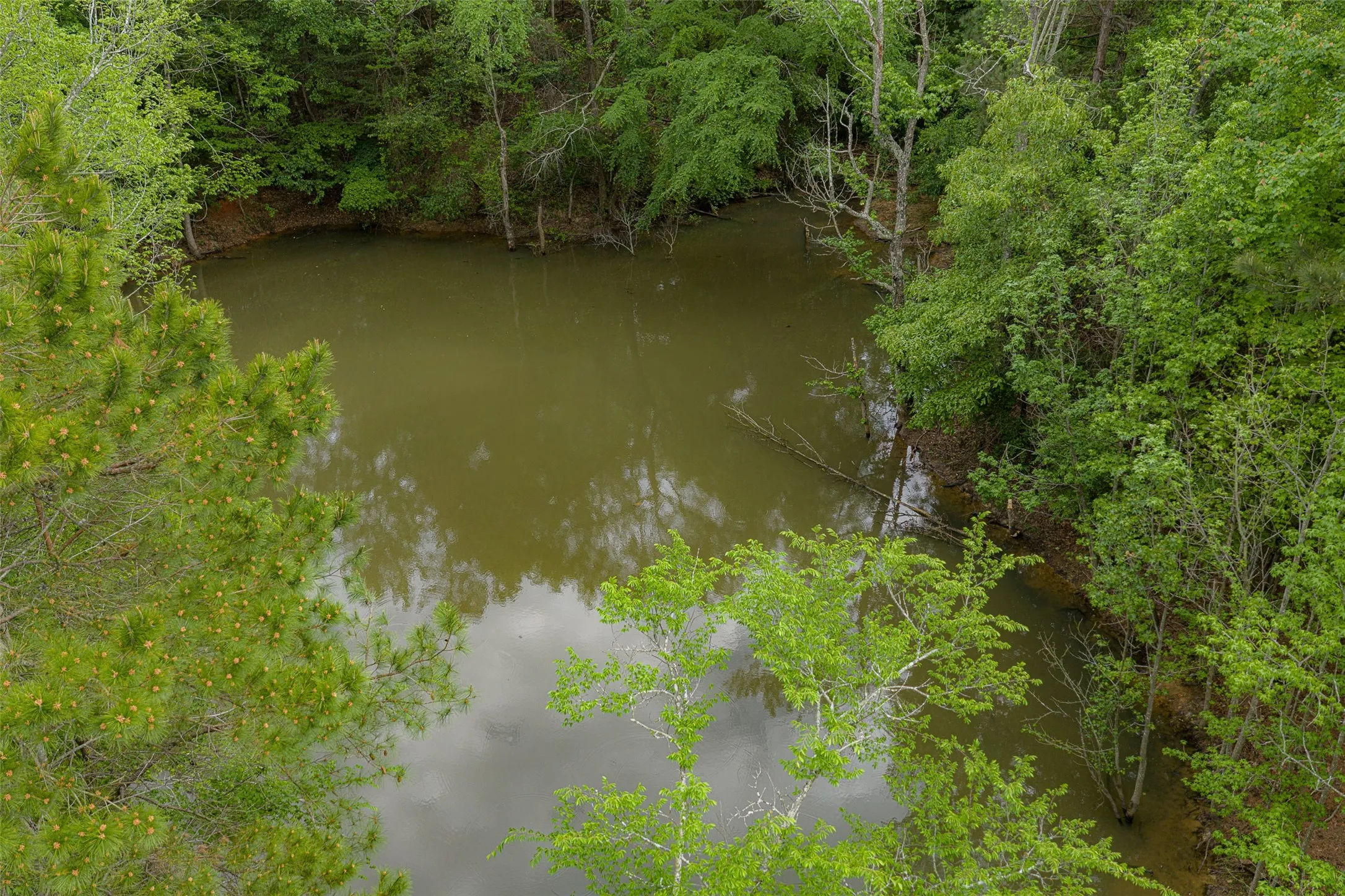 Improved Land For Sale in Cherokee County , 00 Tract 1 CR 1615, Jacksonville, Texas 75766, 0, 0, Garage spaces, 0 Sqft, built in 0, Price $365,000, mls#21236593, Real Estate Agent in Jacksonville, Homes For Sale in Cherokee county, Homes For Sale in Jacksonville, Realtor in Jacksonville Texas, Real Estate Brokerage Independent Realty Texas, Luminita Cordes Realtor