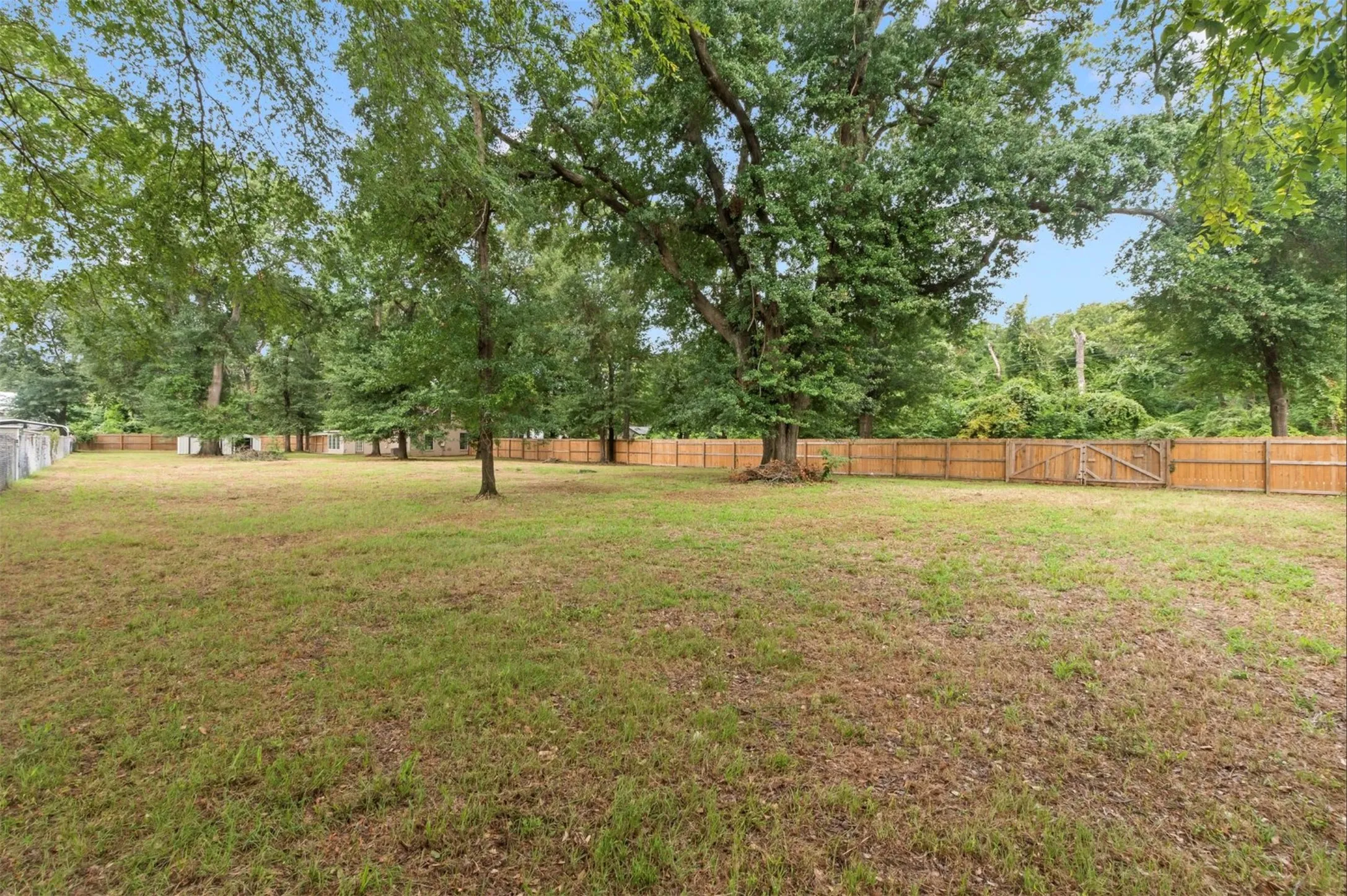 Backyard