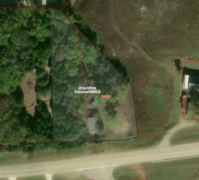 Single Family Residence For Sale in Fannin County , 402 W Fannin Street, Leonard, Texas 75452, 2 Bedroom, 1 Bathroom, Garage spaces, 920 Sqft, built in 1918, mls#21235822, Real Estate Agent in Leonard, Homes For Sale in Fannin county, Homes For Sale in Leonard, Realtor in Leonard Texas, Real Estate Brokerage Independent Realty Texas, Luminita Cordes Realtor