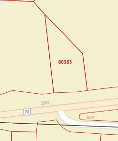 Single Family Residence For Sale in Fannin County , 402 W Fannin Street, Leonard, Texas 75452, 2 Bedroom, 1 Bathroom, Garage spaces, 920 Sqft, built in 1918, mls#21235822, Real Estate Agent in Leonard, Homes For Sale in Fannin county, Homes For Sale in Leonard, Realtor in Leonard Texas, Real Estate Brokerage Independent Realty Texas, Luminita Cordes Realtor