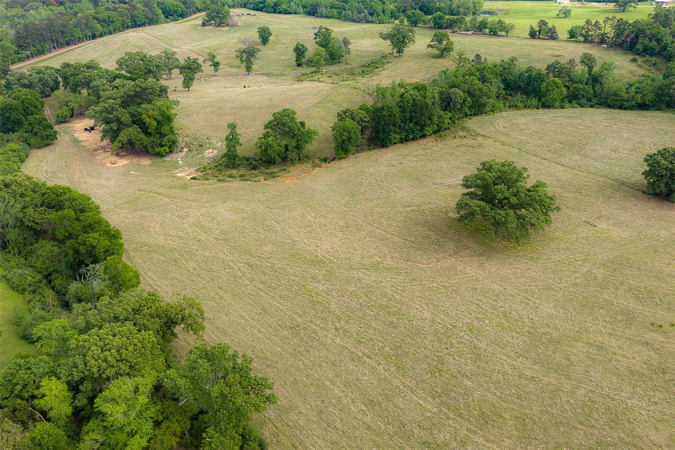 Improved Land For Sale in Cherokee County , 00 Tract 2 CR 1615, Jacksonville, Texas 75766, 0, 0, Garage spaces, 0 Sqft, built in 0, Price $365,000, mls#21236630, Real Estate Agent in Jacksonville, Homes For Sale in Cherokee county, Homes For Sale in Jacksonville, Realtor in Jacksonville Texas, Real Estate Brokerage Independent Realty Texas, Luminita Cordes Realtor