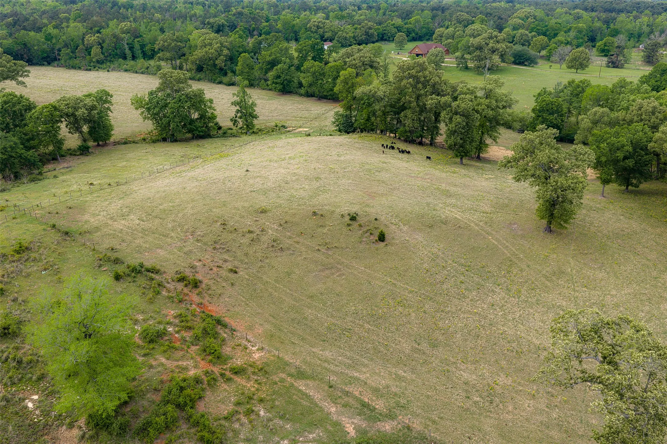 Improved Land For Sale in Cherokee County , 00 Tract 2 CR 1615, Jacksonville, Texas 75766, 0, 0, Garage spaces, 0 Sqft, built in 0, Price $365,000, mls#21236630, Real Estate Agent in Jacksonville, Homes For Sale in Cherokee county, Homes For Sale in Jacksonville, Realtor in Jacksonville Texas, Real Estate Brokerage Independent Realty Texas, Luminita Cordes Realtor