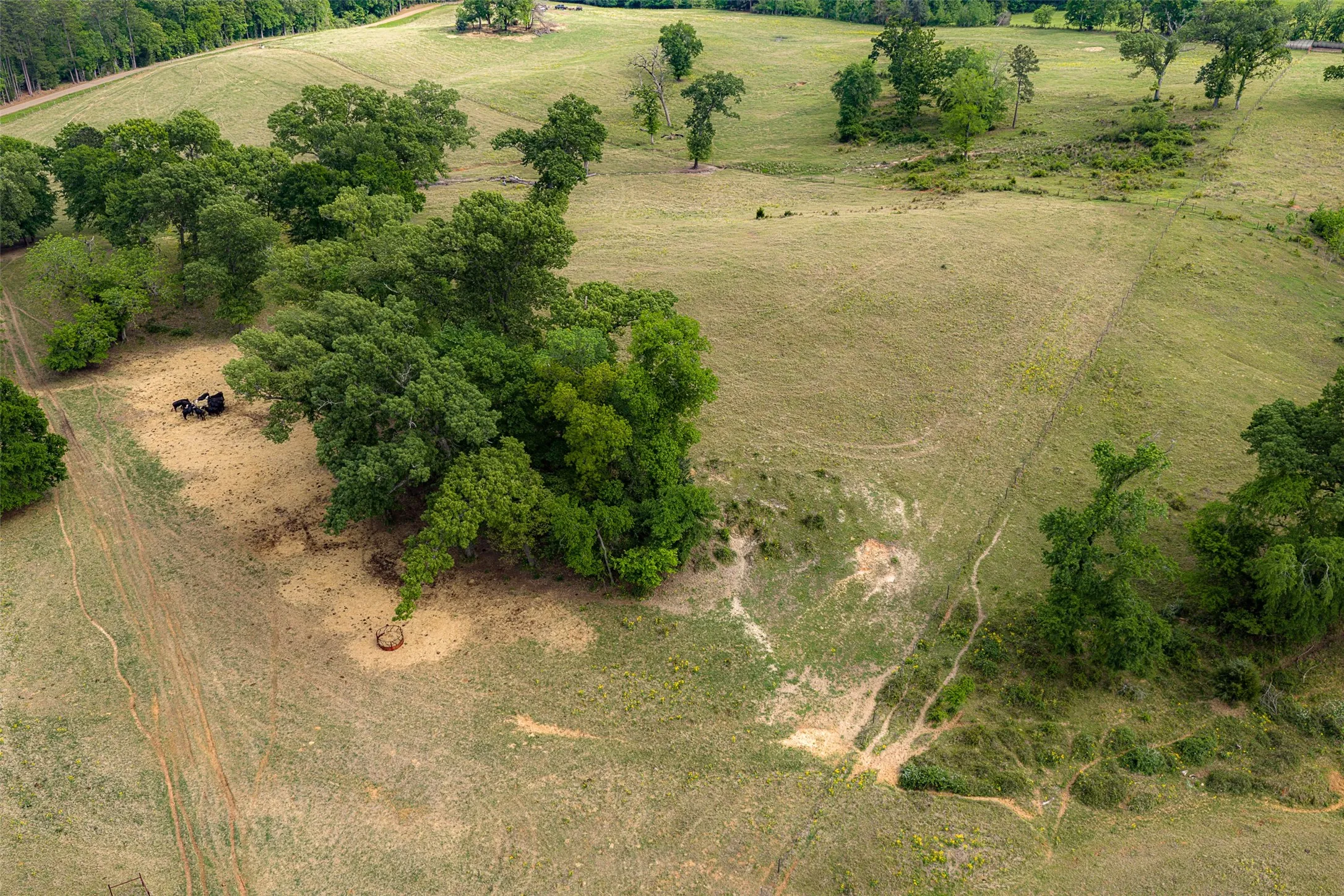Improved Land For Sale in Cherokee County , 00 Tract 2 CR 1615, Jacksonville, Texas 75766, 0, 0, Garage spaces, 0 Sqft, built in 0, Price $365,000, mls#21236630, Real Estate Agent in Jacksonville, Homes For Sale in Cherokee county, Homes For Sale in Jacksonville, Realtor in Jacksonville Texas, Real Estate Brokerage Independent Realty Texas, Luminita Cordes Realtor