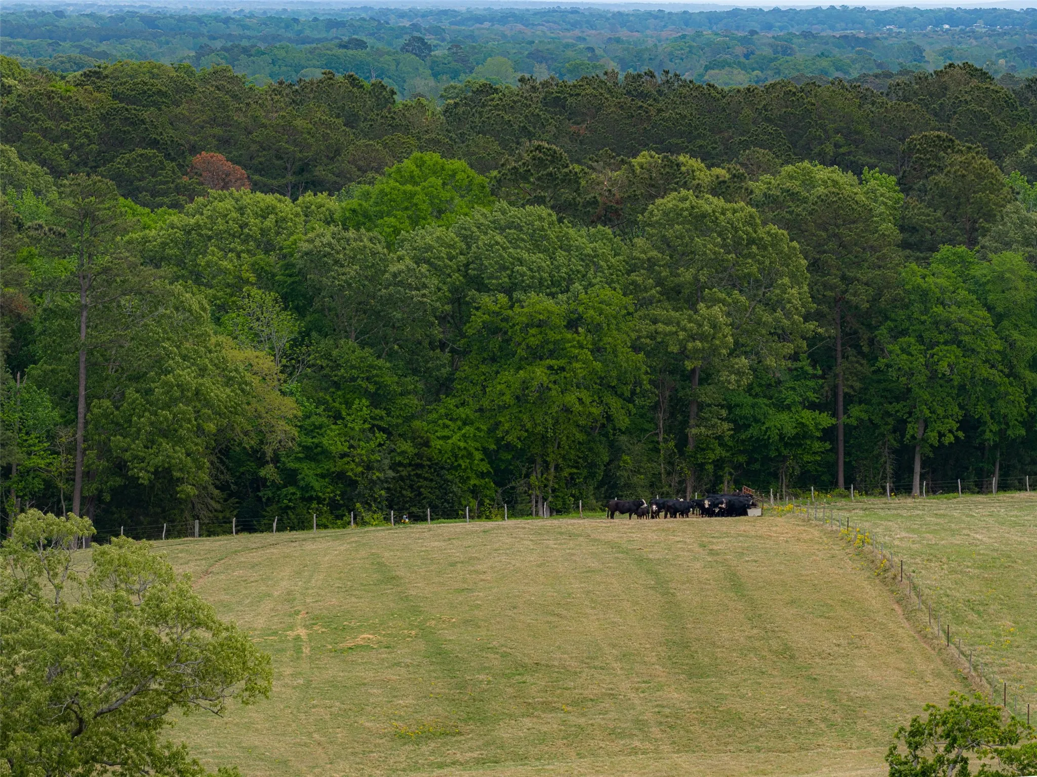 Improved Land For Sale in Cherokee County , 00 Tract 2 CR 1615, Jacksonville, Texas 75766, 0, 0, Garage spaces, 0 Sqft, built in 0, Price $365,000, mls#21236630, Real Estate Agent in Jacksonville, Homes For Sale in Cherokee county, Homes For Sale in Jacksonville, Realtor in Jacksonville Texas, Real Estate Brokerage Independent Realty Texas, Luminita Cordes Realtor