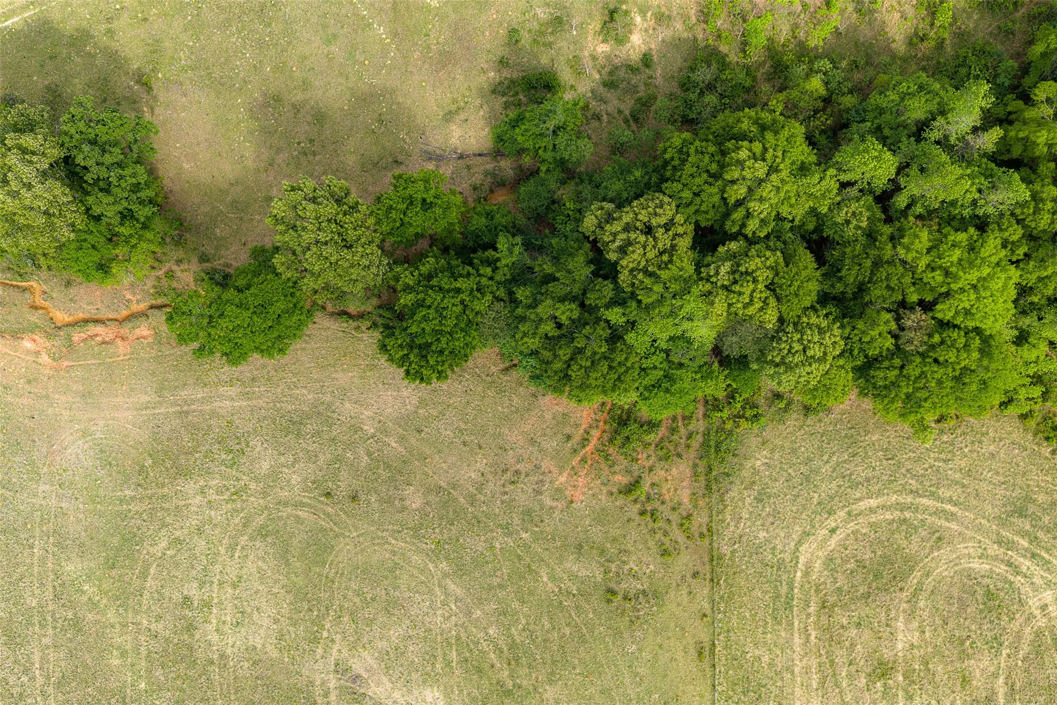 Improved Land For Sale in Cherokee County , 00 Tract 2 CR 1615, Jacksonville, Texas 75766, 0, 0, Garage spaces, 0 Sqft, built in 0, Price $365,000, mls#21236630, Real Estate Agent in Jacksonville, Homes For Sale in Cherokee county, Homes For Sale in Jacksonville, Realtor in Jacksonville Texas, Real Estate Brokerage Independent Realty Texas, Luminita Cordes Realtor