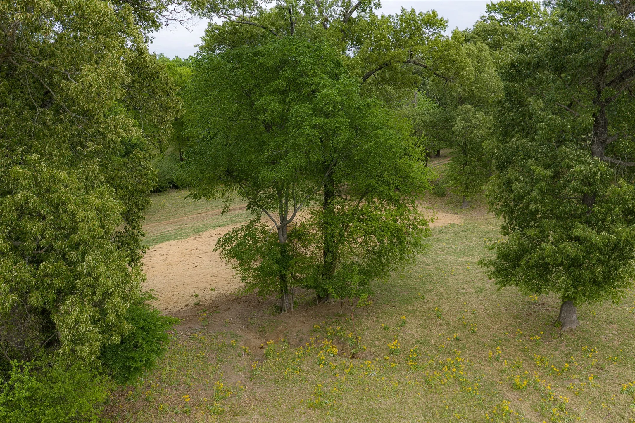 Improved Land For Sale in Cherokee County , 00 Tract 2 CR 1615, Jacksonville, Texas 75766, 0, 0, Garage spaces, 0 Sqft, built in 0, Price $365,000, mls#21236630, Real Estate Agent in Jacksonville, Homes For Sale in Cherokee county, Homes For Sale in Jacksonville, Realtor in Jacksonville Texas, Real Estate Brokerage Independent Realty Texas, Luminita Cordes Realtor