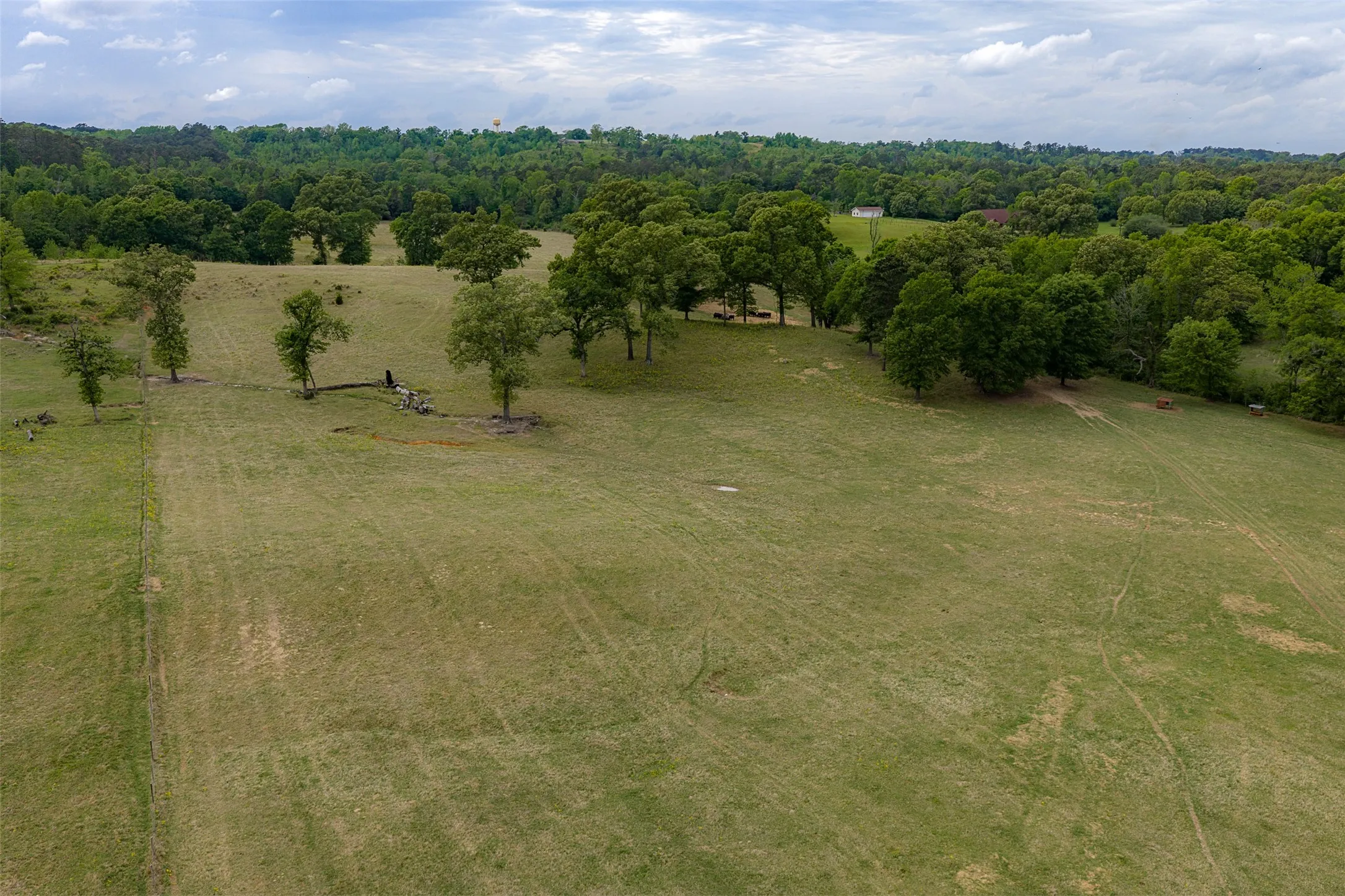 Improved Land For Sale in Cherokee County , 00 Tract 2 CR 1615, Jacksonville, Texas 75766, 0, 0, Garage spaces, 0 Sqft, built in 0, Price $365,000, mls#21236630, Real Estate Agent in Jacksonville, Homes For Sale in Cherokee county, Homes For Sale in Jacksonville, Realtor in Jacksonville Texas, Real Estate Brokerage Independent Realty Texas, Luminita Cordes Realtor