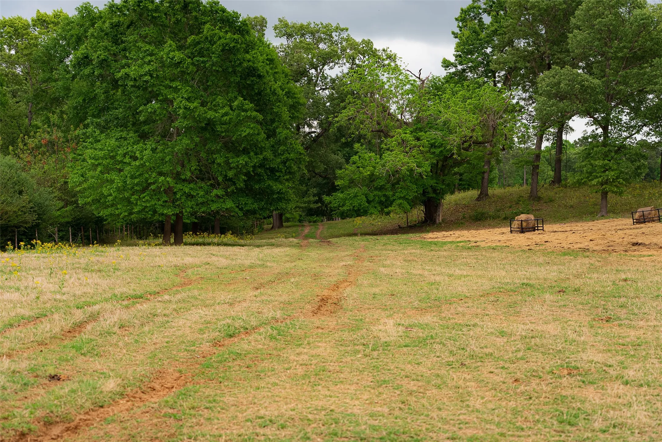 Improved Land For Sale in Cherokee County , 00 Tract 2 CR 1615, Jacksonville, Texas 75766, 0, 0, Garage spaces, 0 Sqft, built in 0, Price $365,000, mls#21236630, Real Estate Agent in Jacksonville, Homes For Sale in Cherokee county, Homes For Sale in Jacksonville, Realtor in Jacksonville Texas, Real Estate Brokerage Independent Realty Texas, Luminita Cordes Realtor